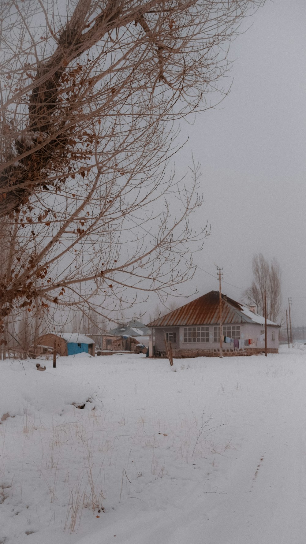 a snow covered field with a house in the background