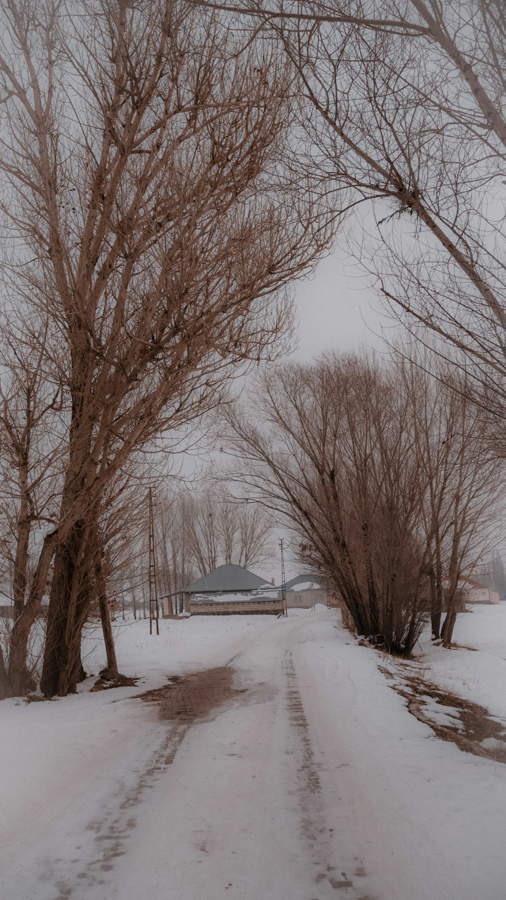 una strada innevata con alberi e una casa sullo sfondo
