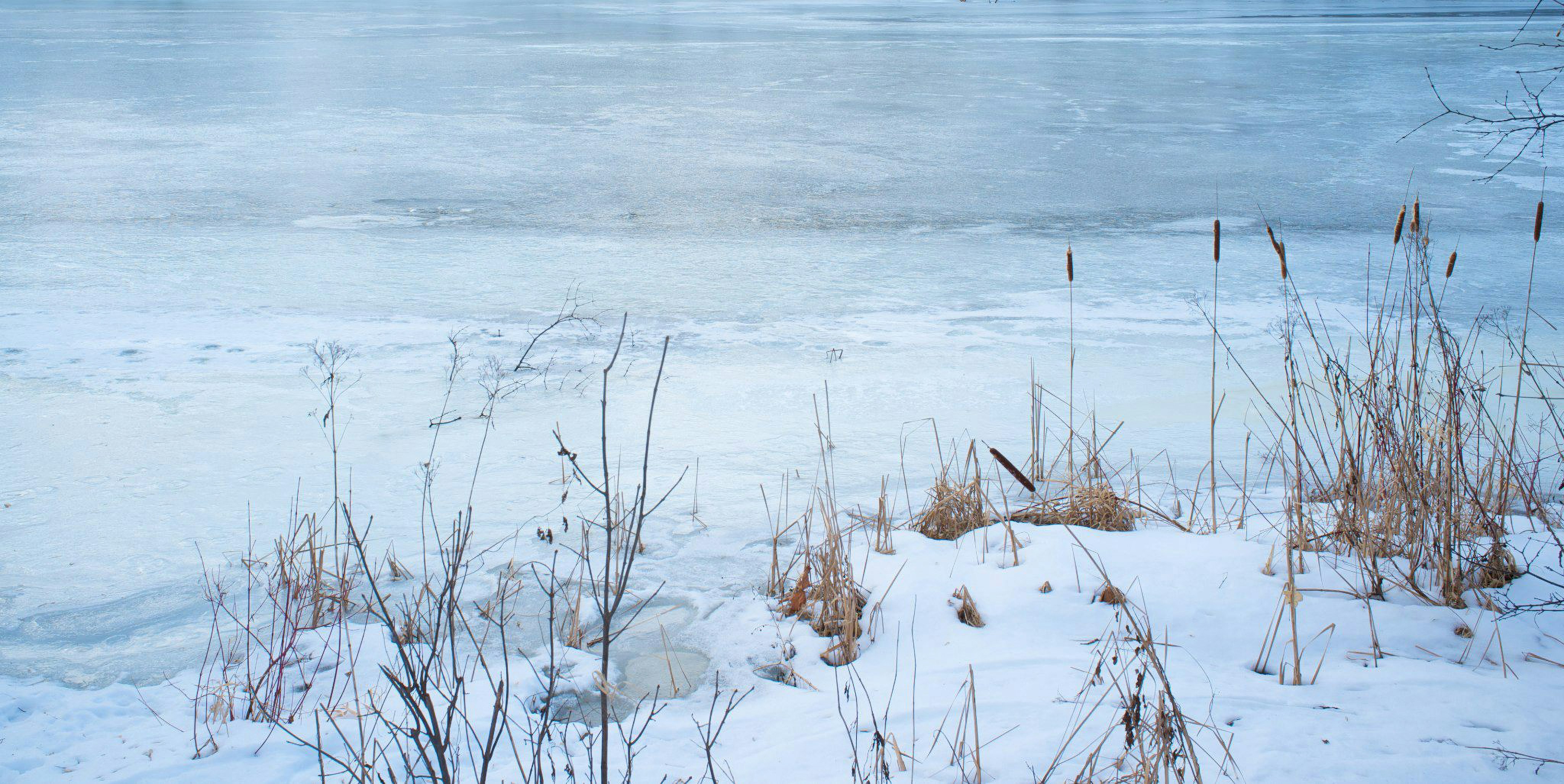 Photo by jonathankslim