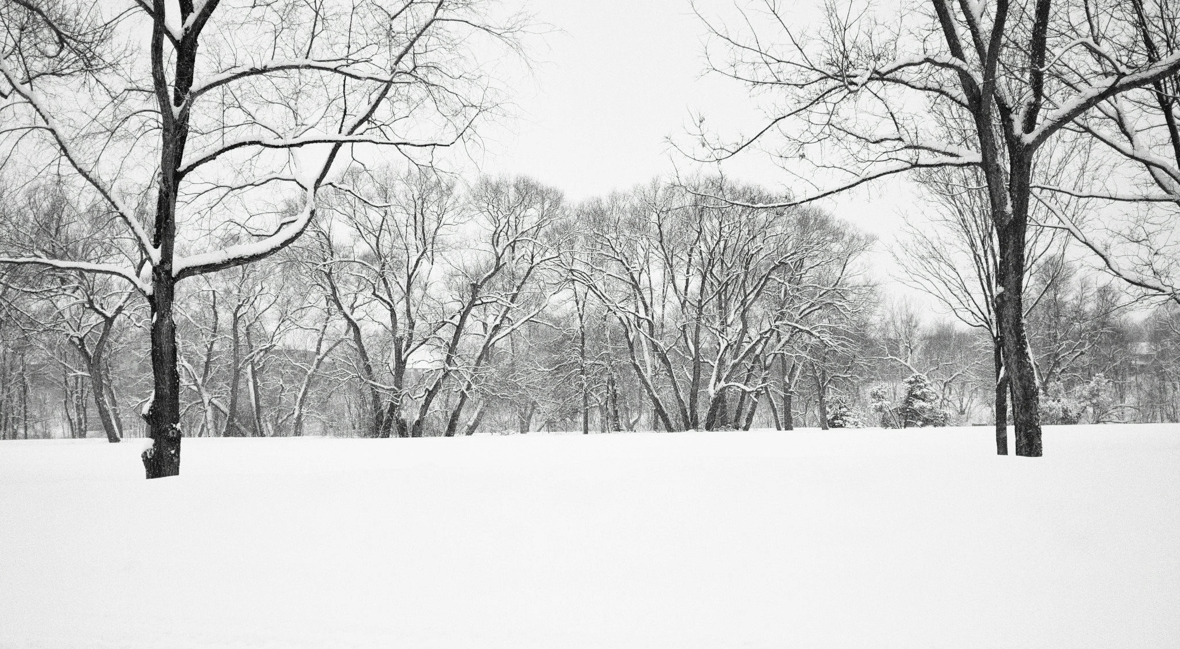 Photo by jonathankslim