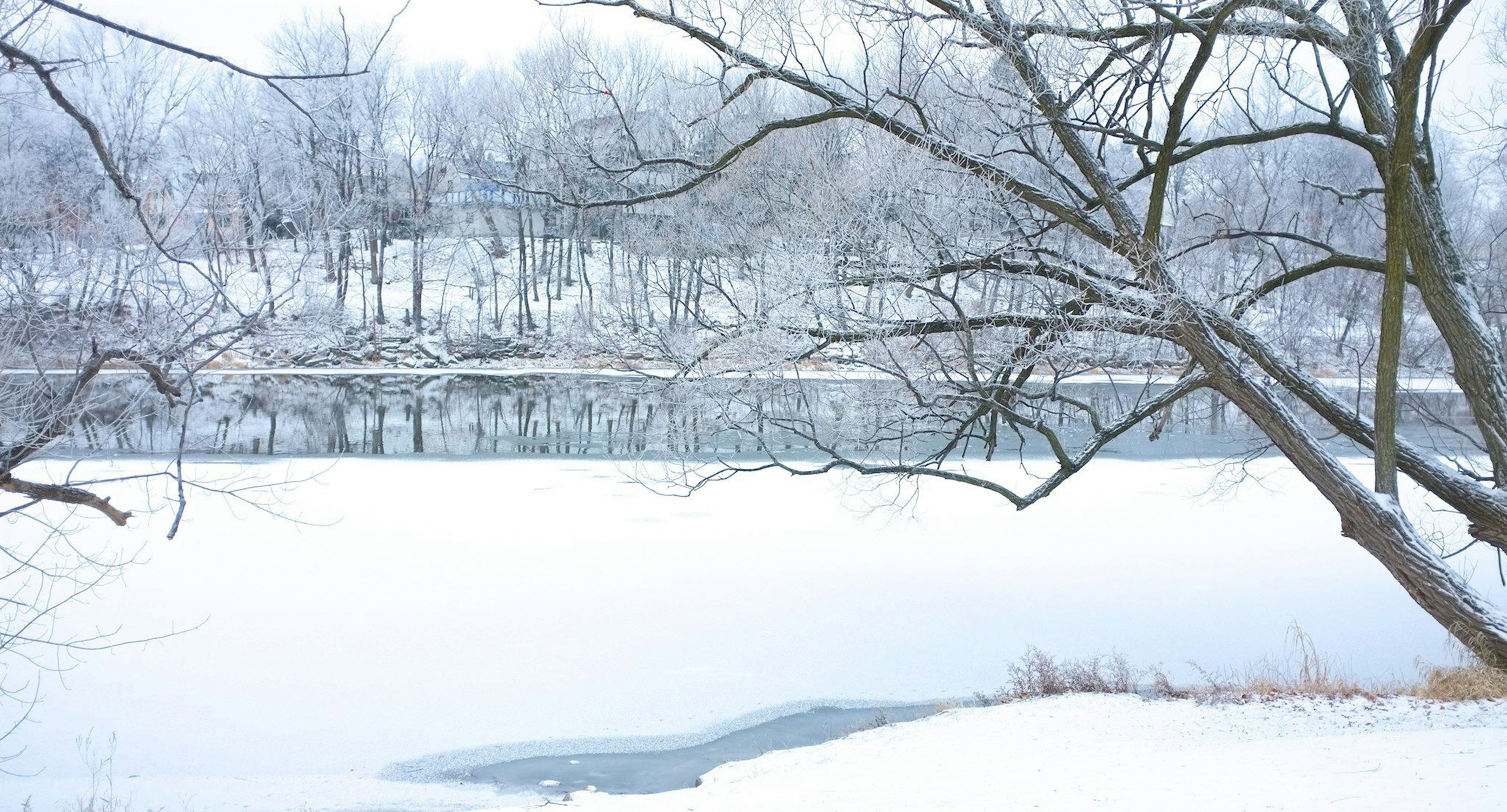 Photo by jonathankslim