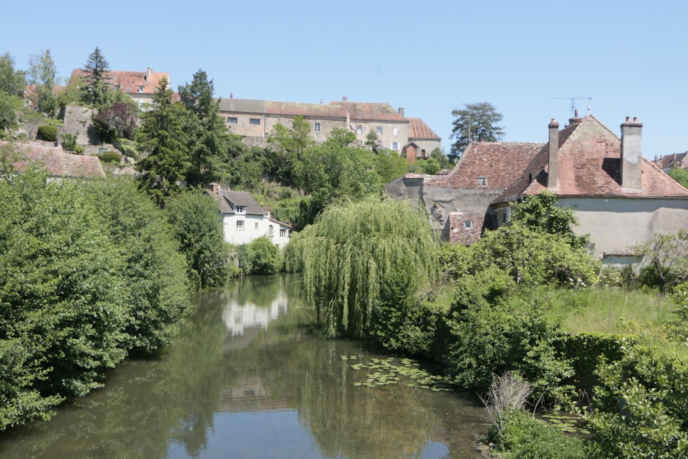 Un río que atraviesa un frondoso bosque verde