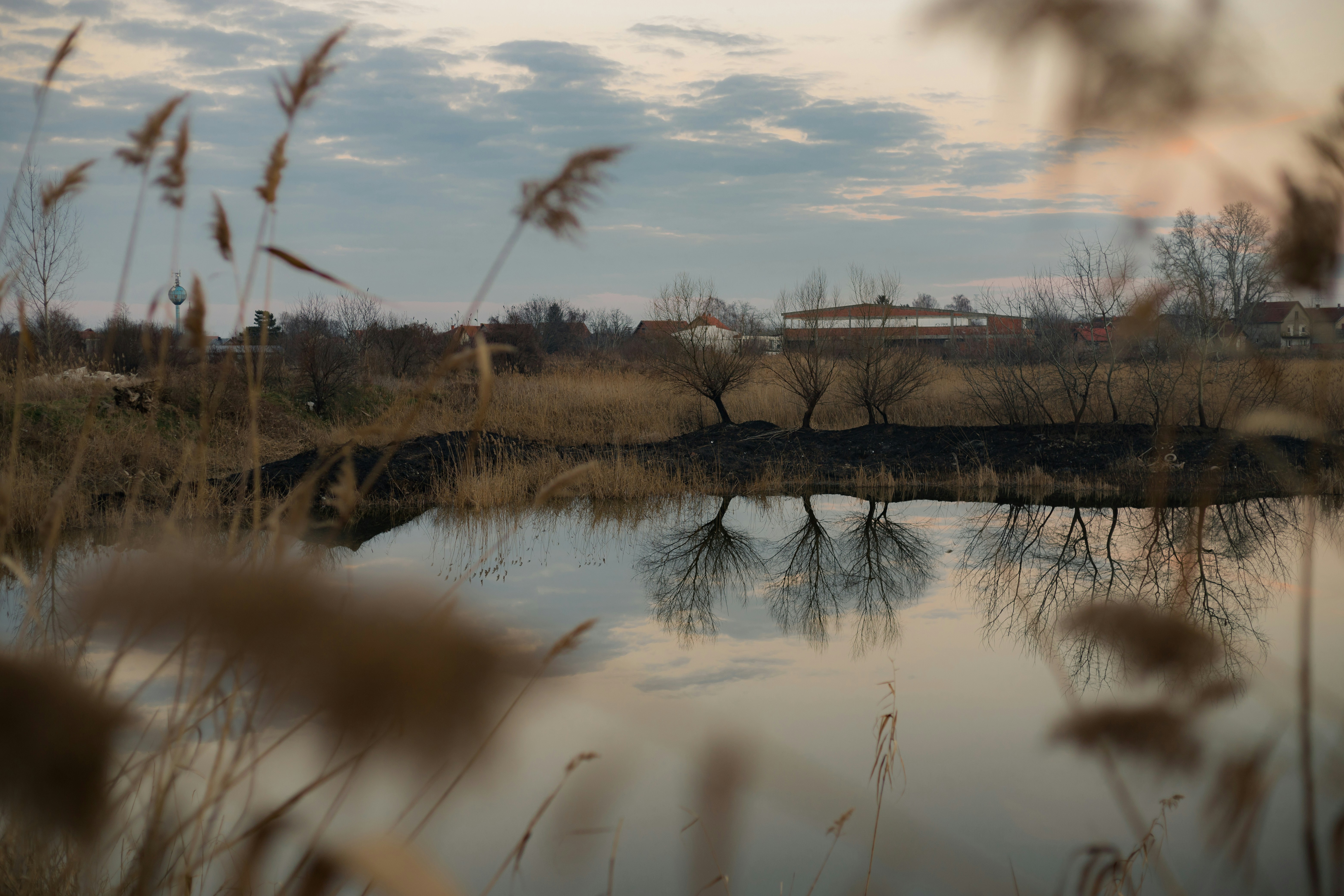 Photo by jovanvasiljevic