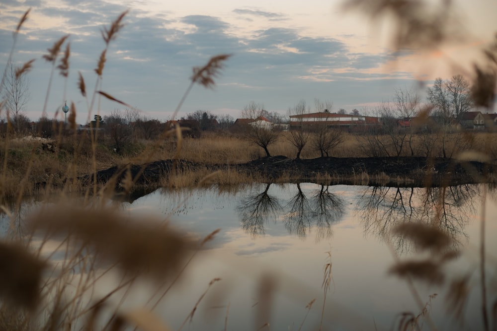 a body of water surrounded by dry grass