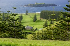 a lush green field next to a large body of water