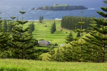 a lush green field next to a large body of water
