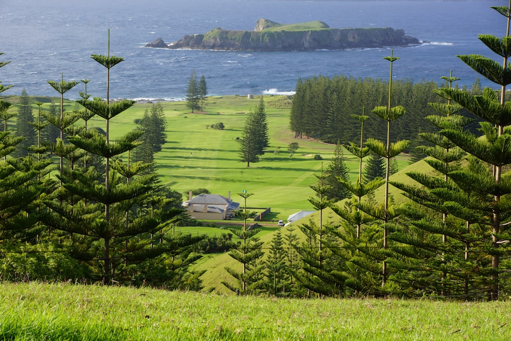 a lush green field next to a large body of water