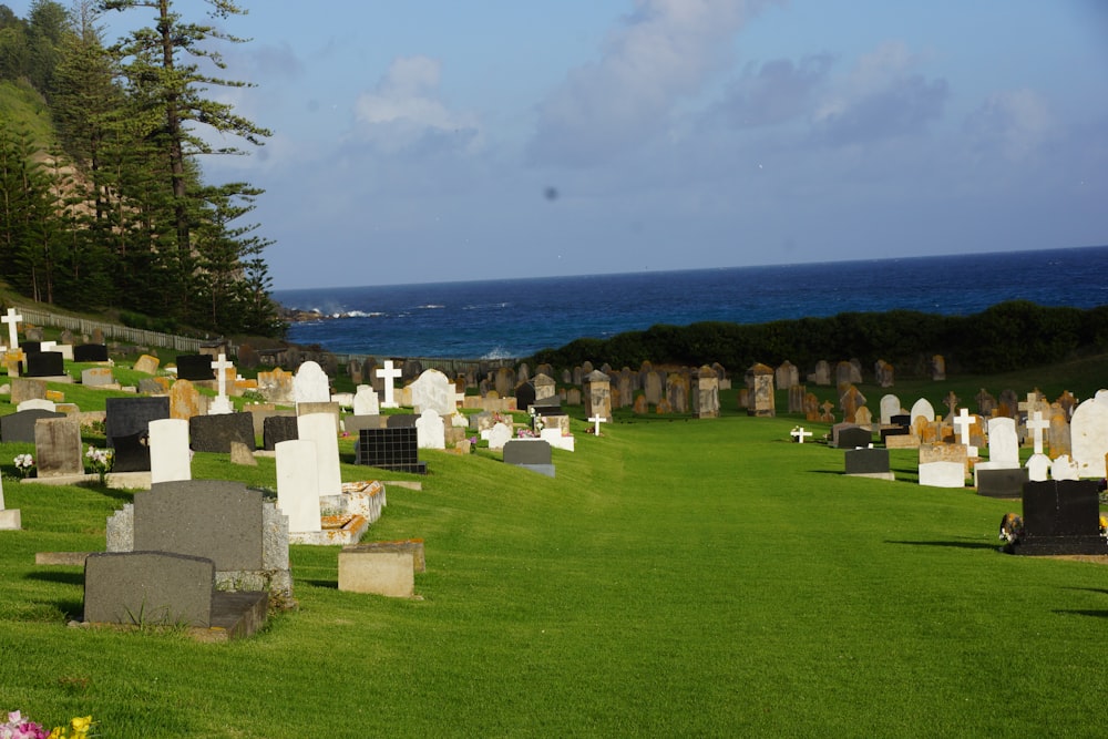 a grassy cemetery with a view of the ocean in the background