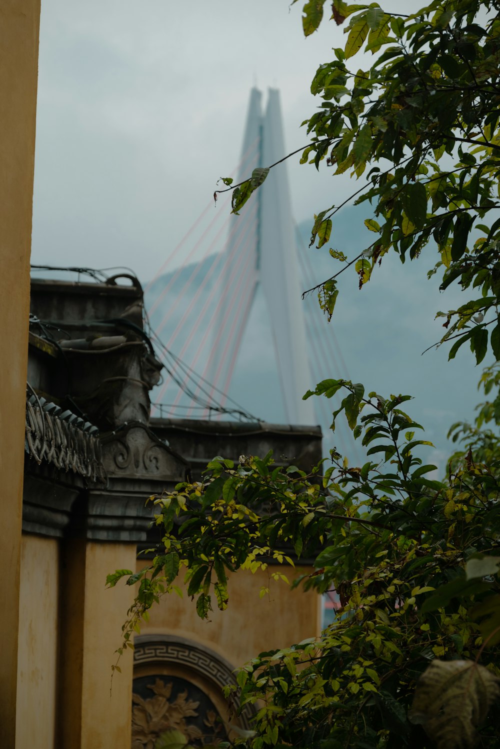 a tall bridge towering over a lush green forest