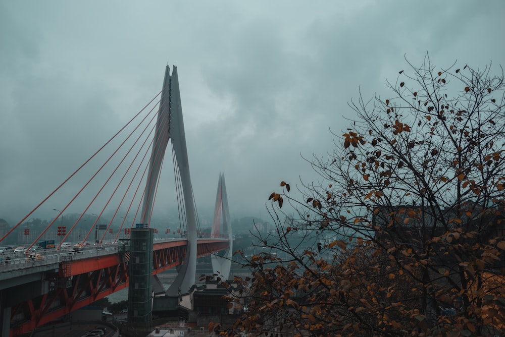 a view of a bridge in the rain