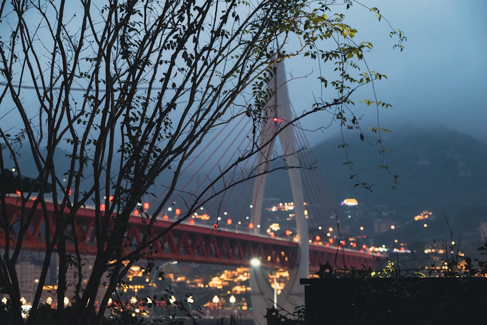 a view of a bridge over a river at night