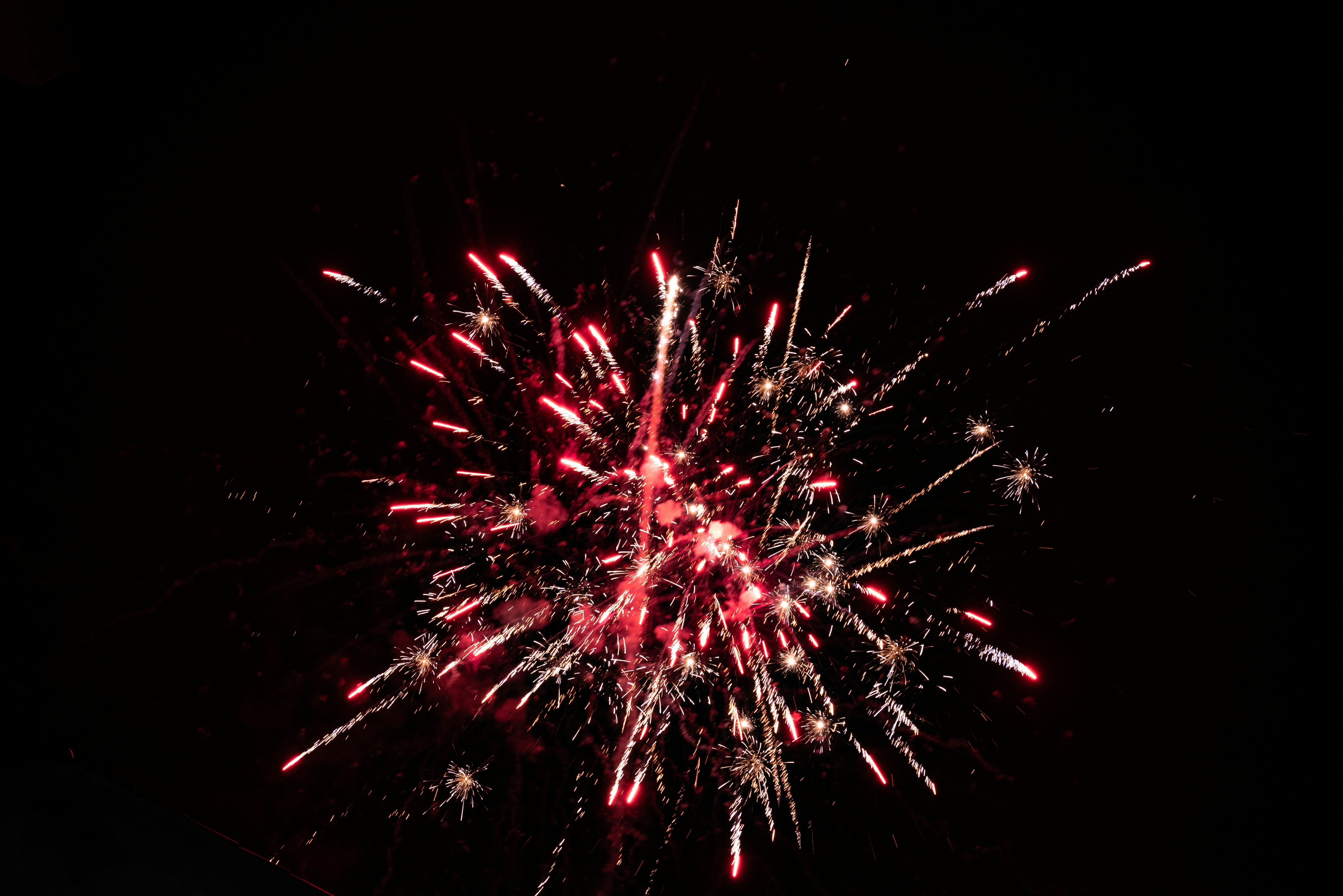 Photo by nikol_royce