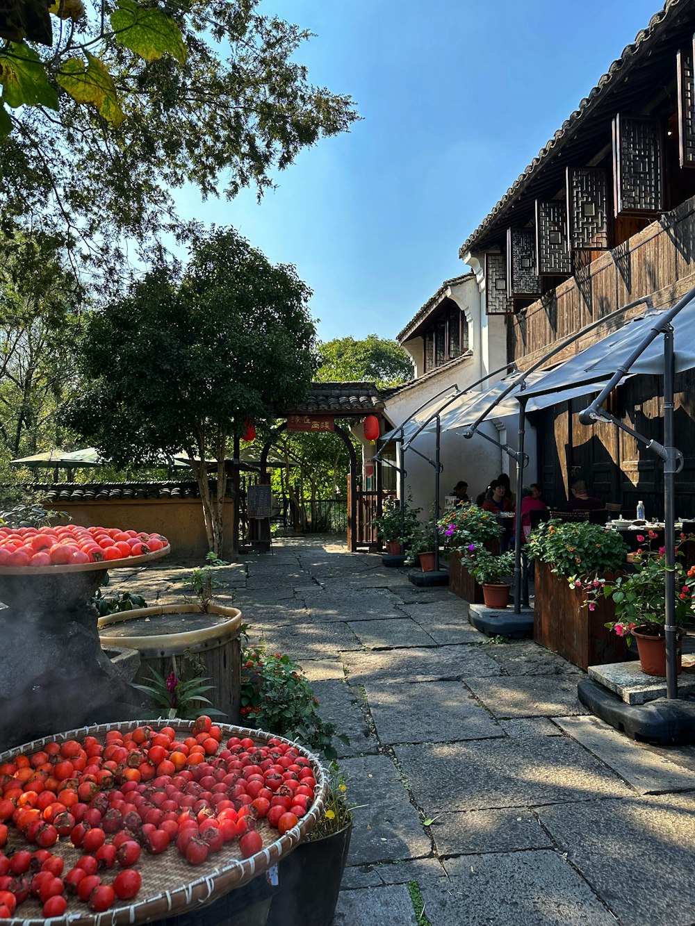 a bunch of tomatoes that are on a table