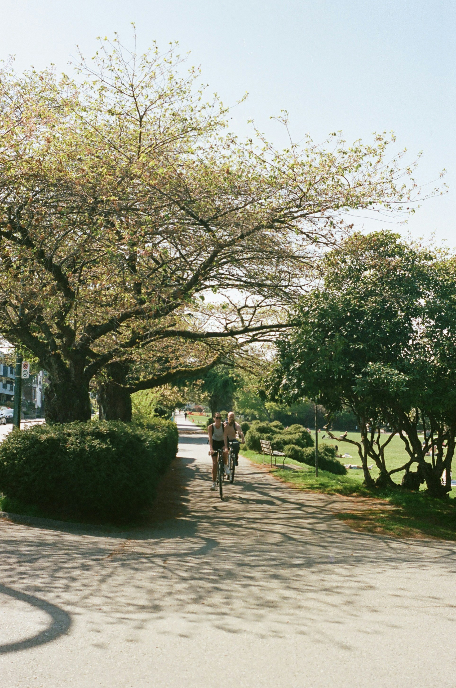 Photo by esthrngn