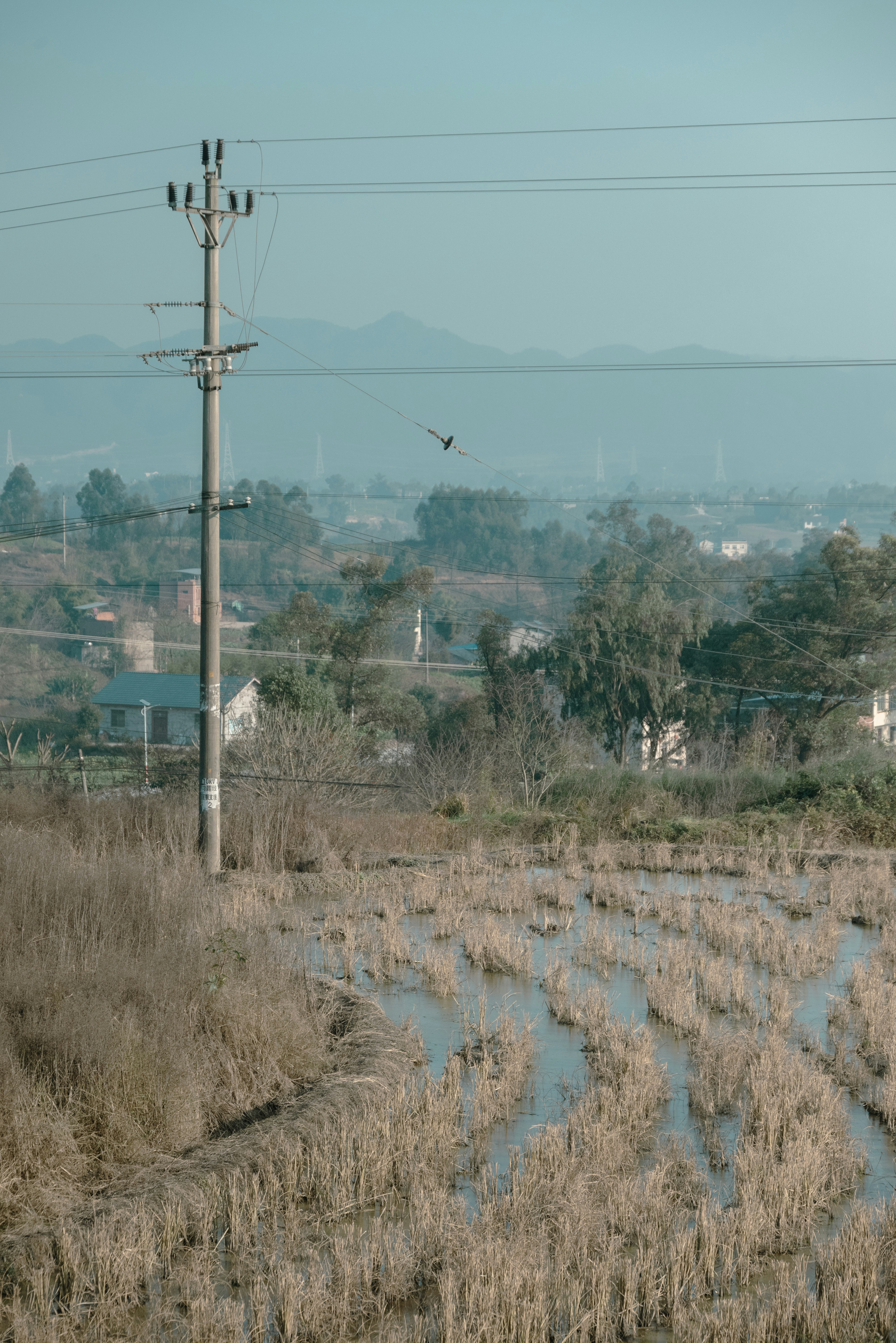 Photo by nikol_royce