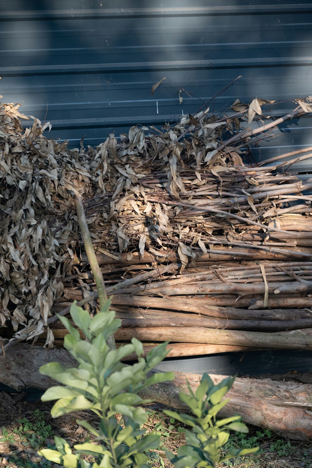 a pile of wood sitting next to a building