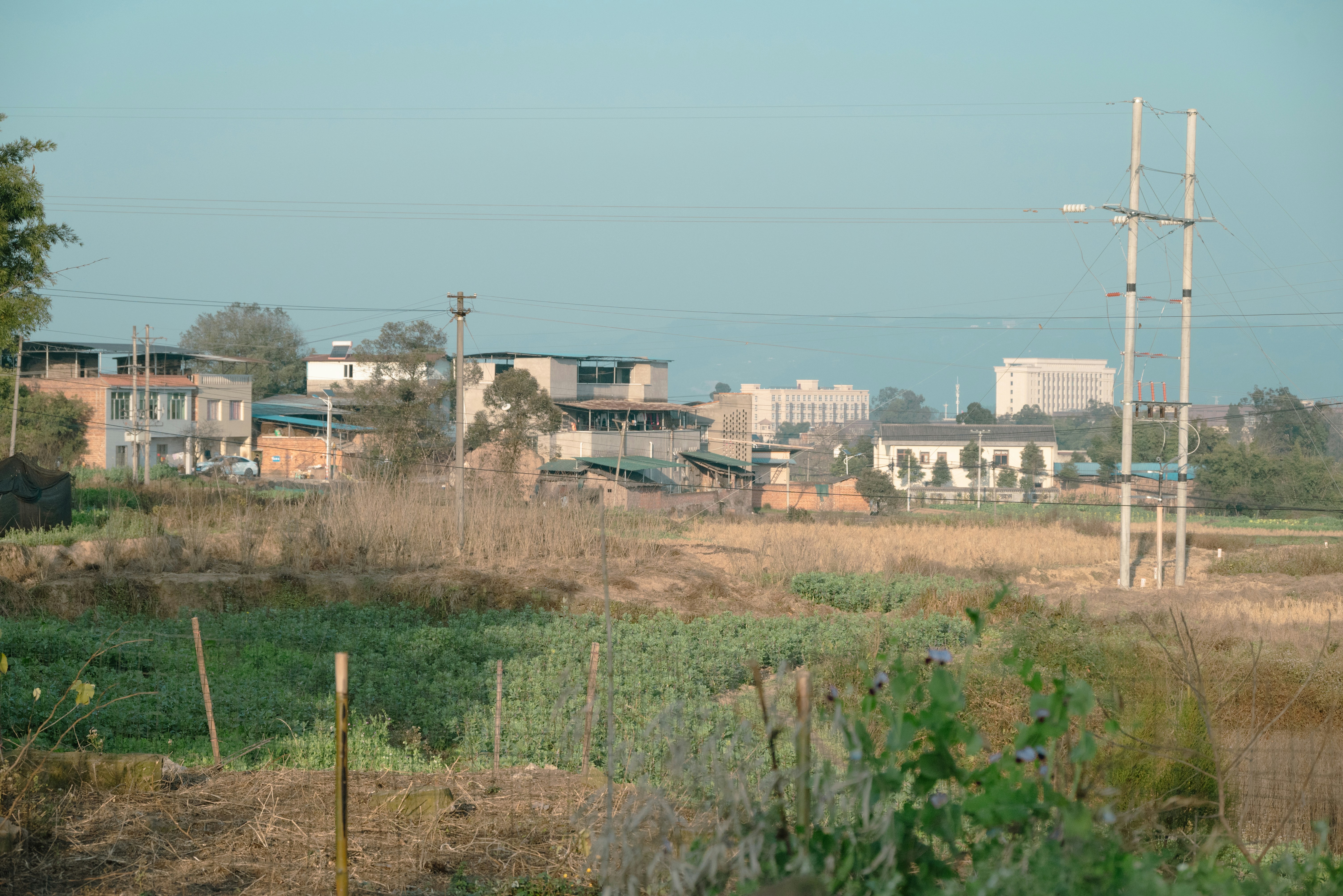 Photo by nikol_royce