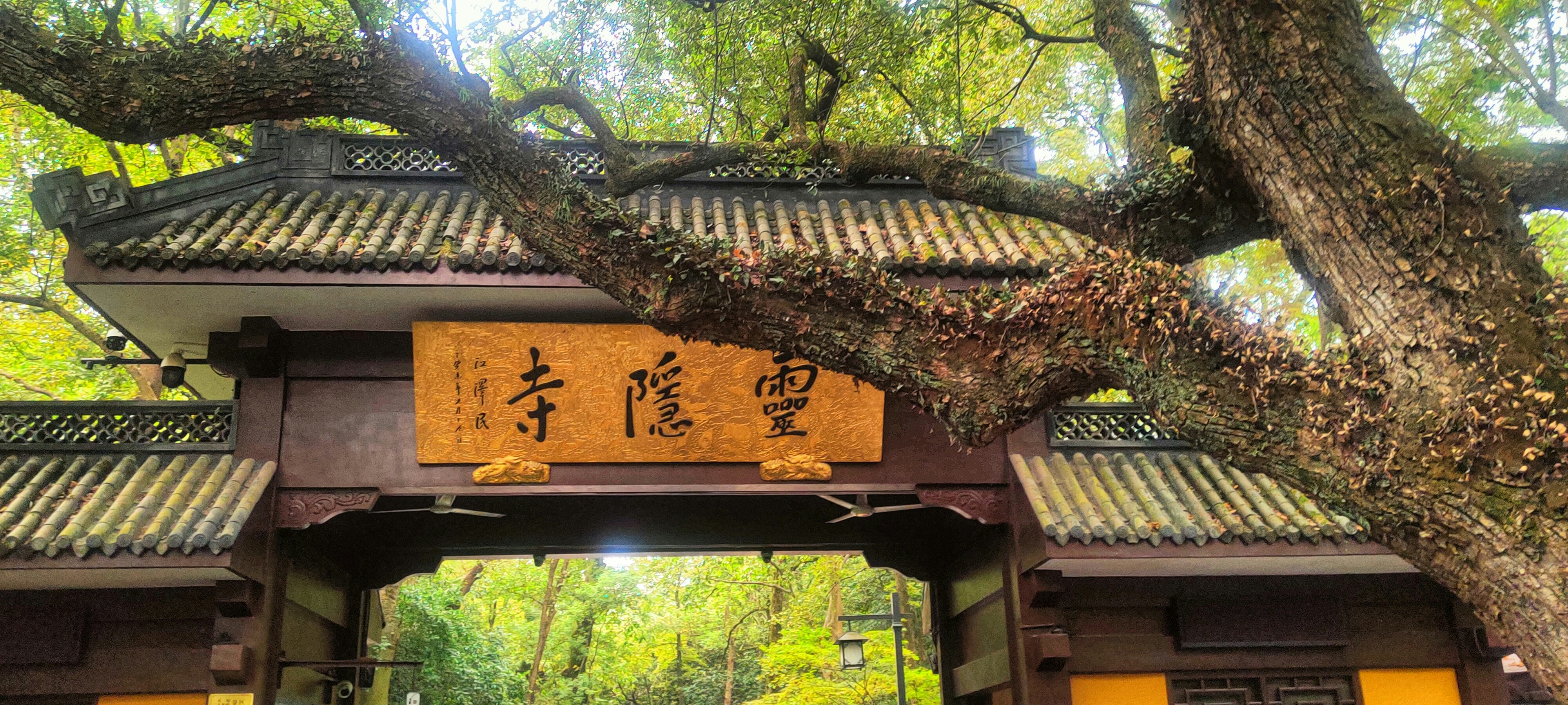 Photo by belhani_aymen