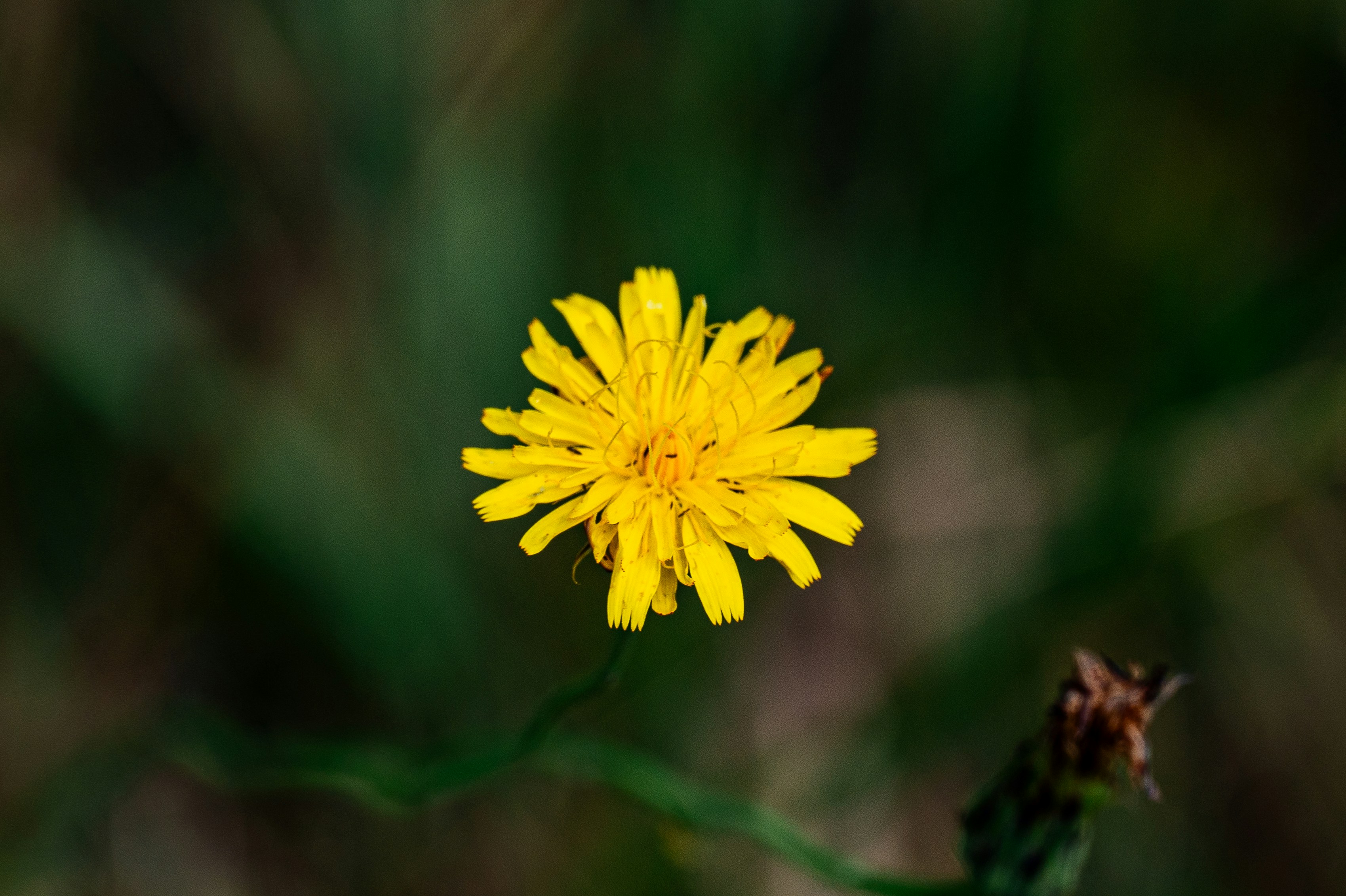 Photo by toby_hall28