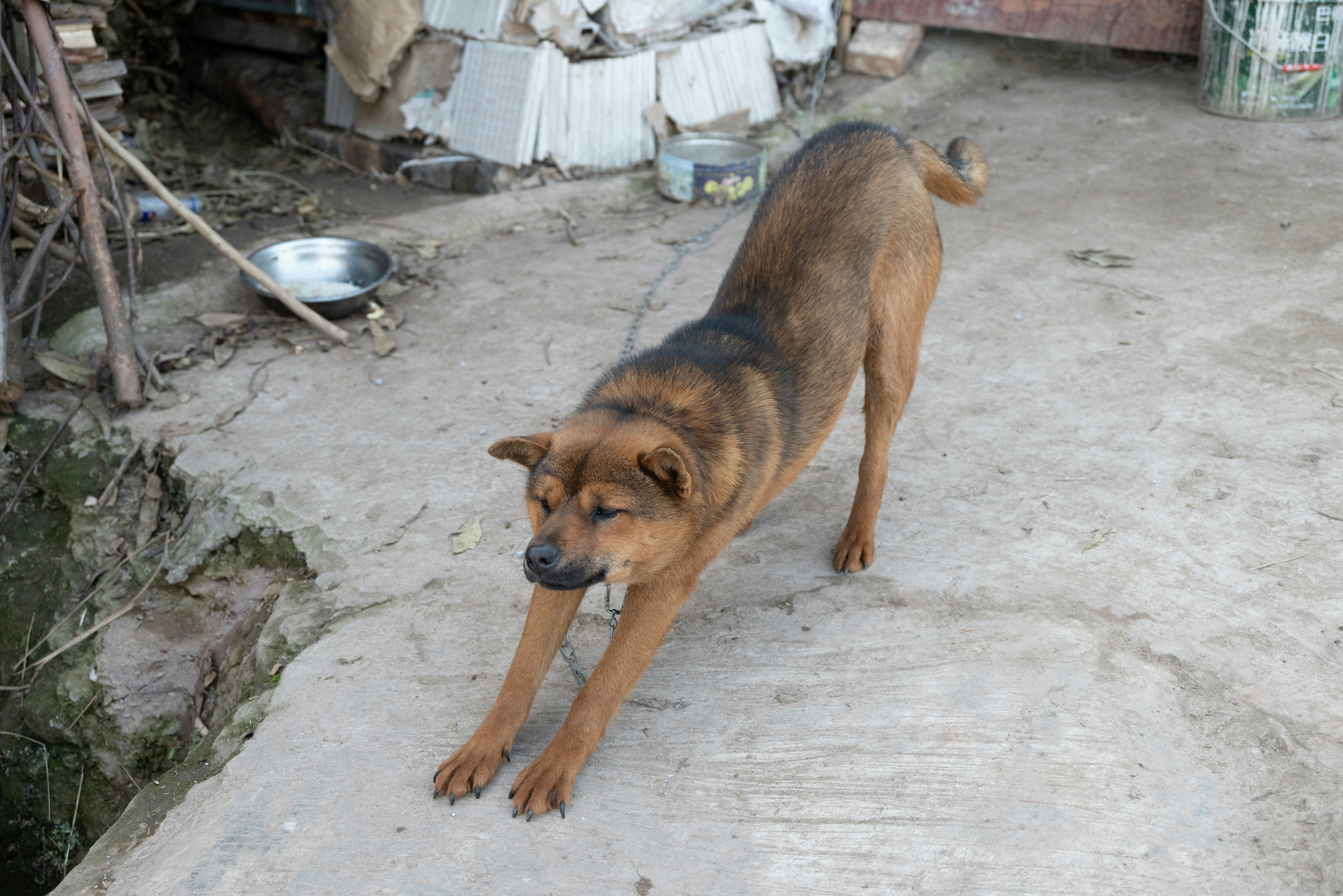 Photo by nikol_royce