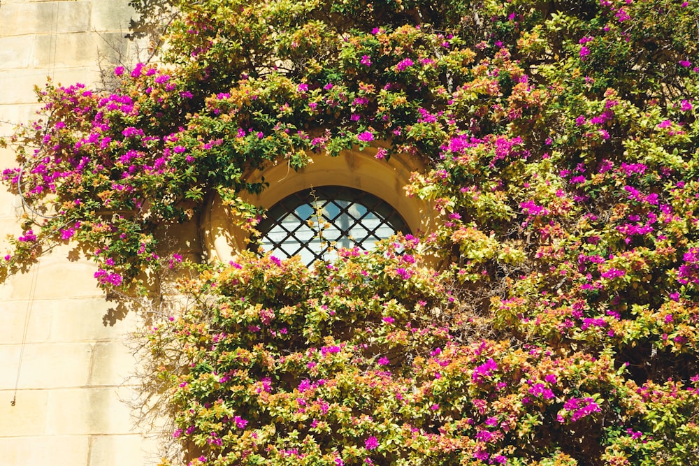 a window in the side of a building covered in flowers