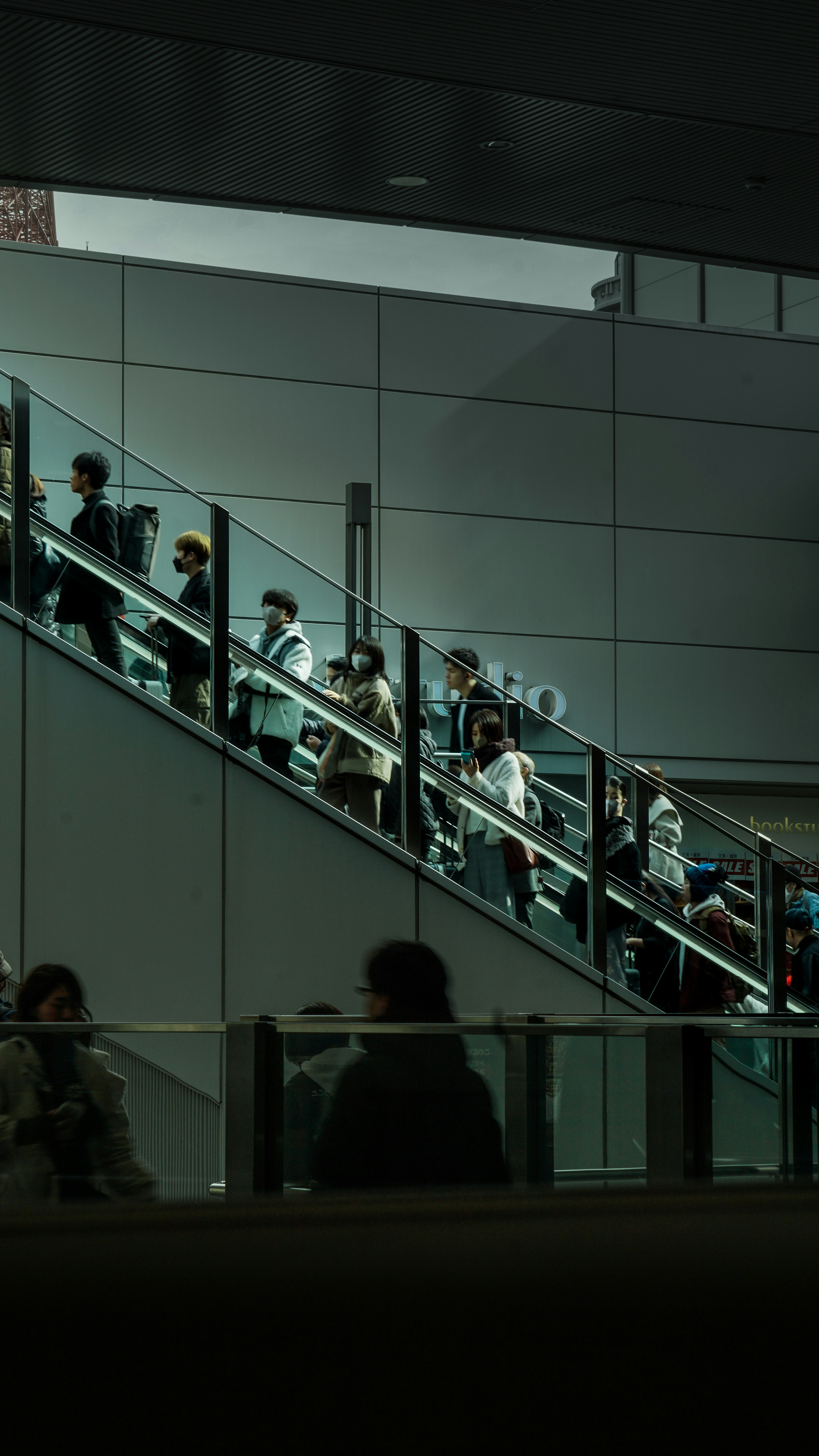 Photo by horseratbros