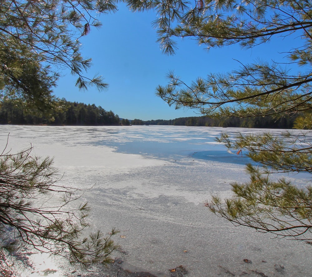 a frozen lake surrounded by trees and a blue sky