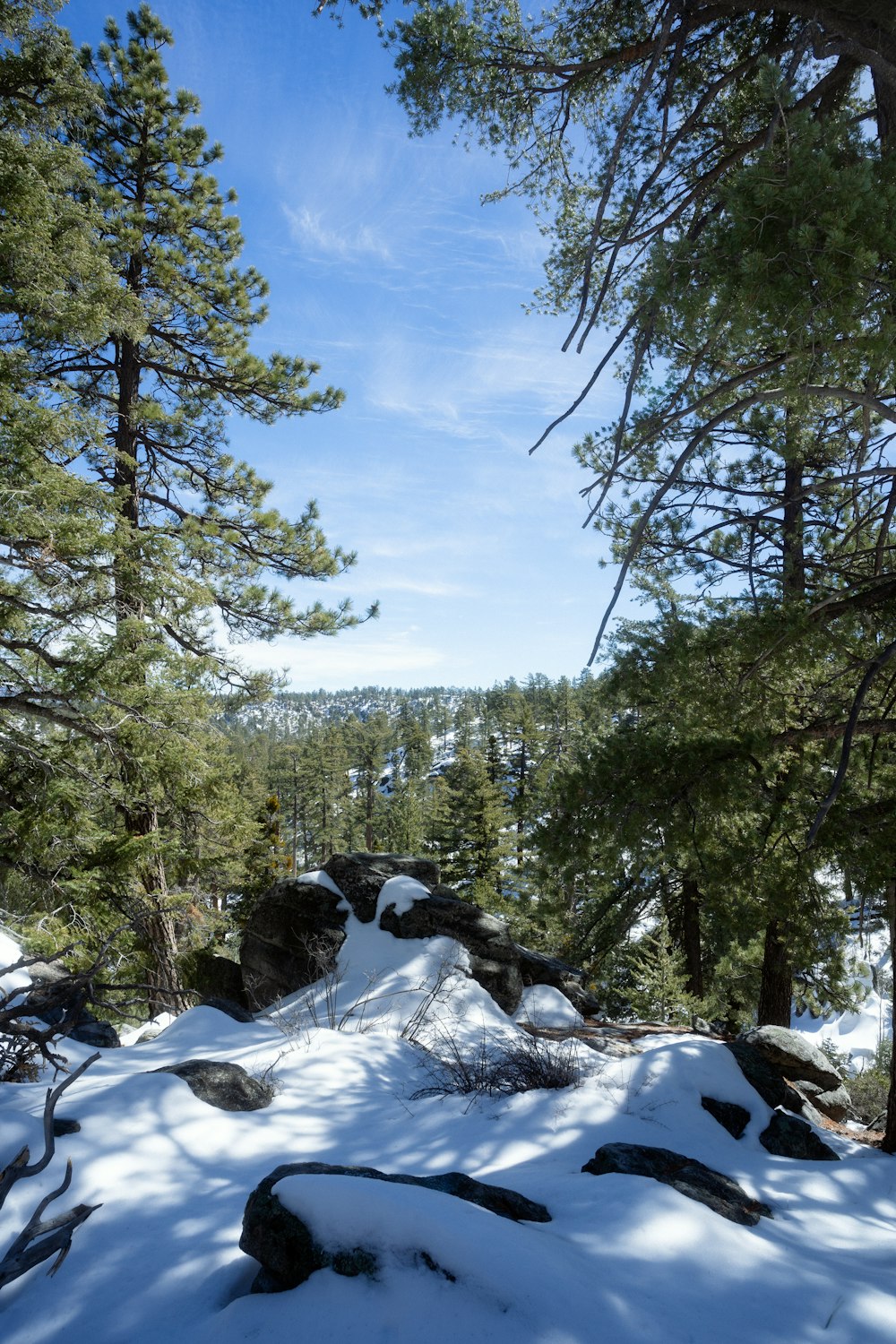 a snow covered mountain with trees and rocks