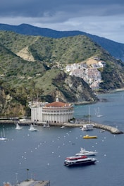 a large body of water with boats in it
