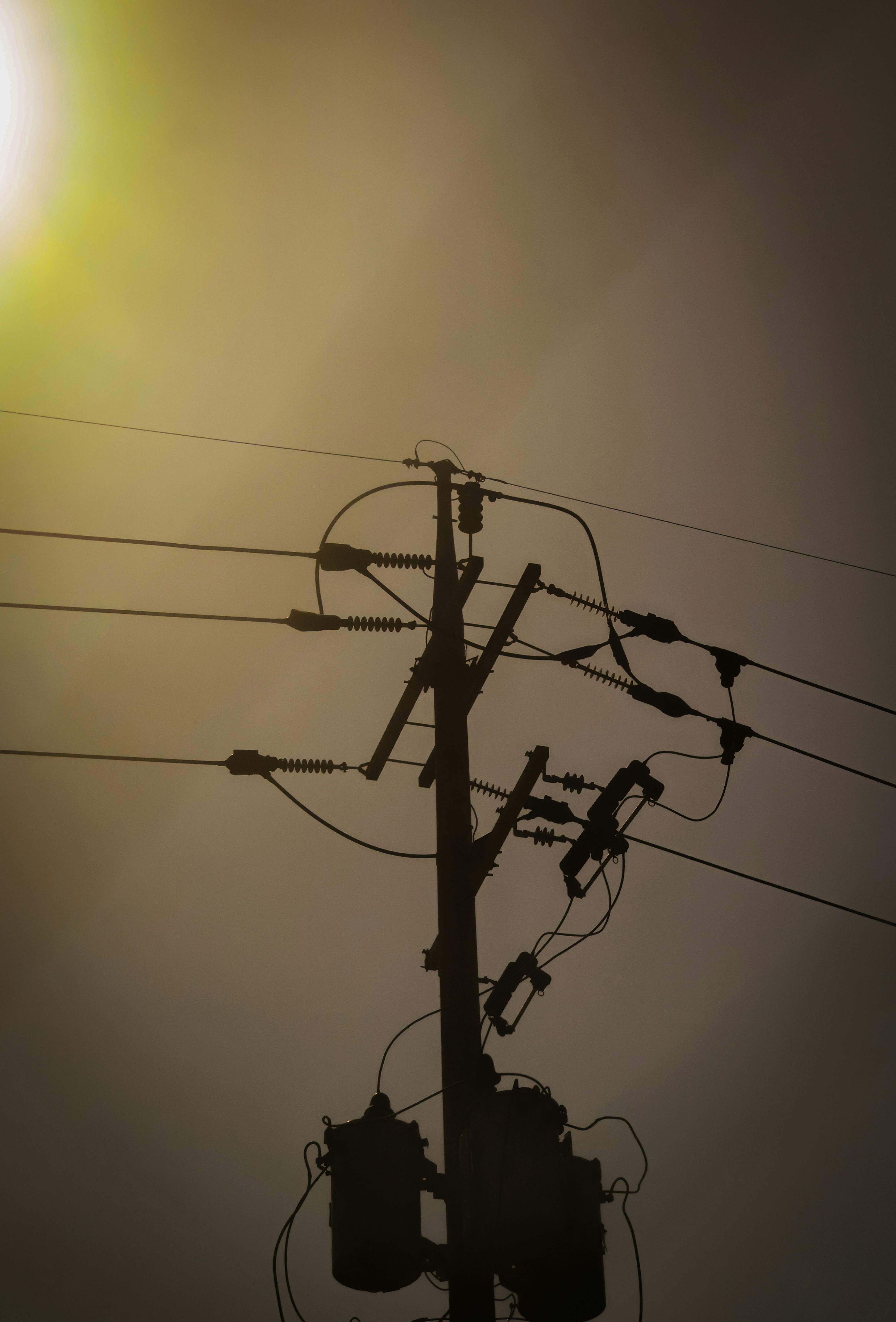 Photo by horseratbros