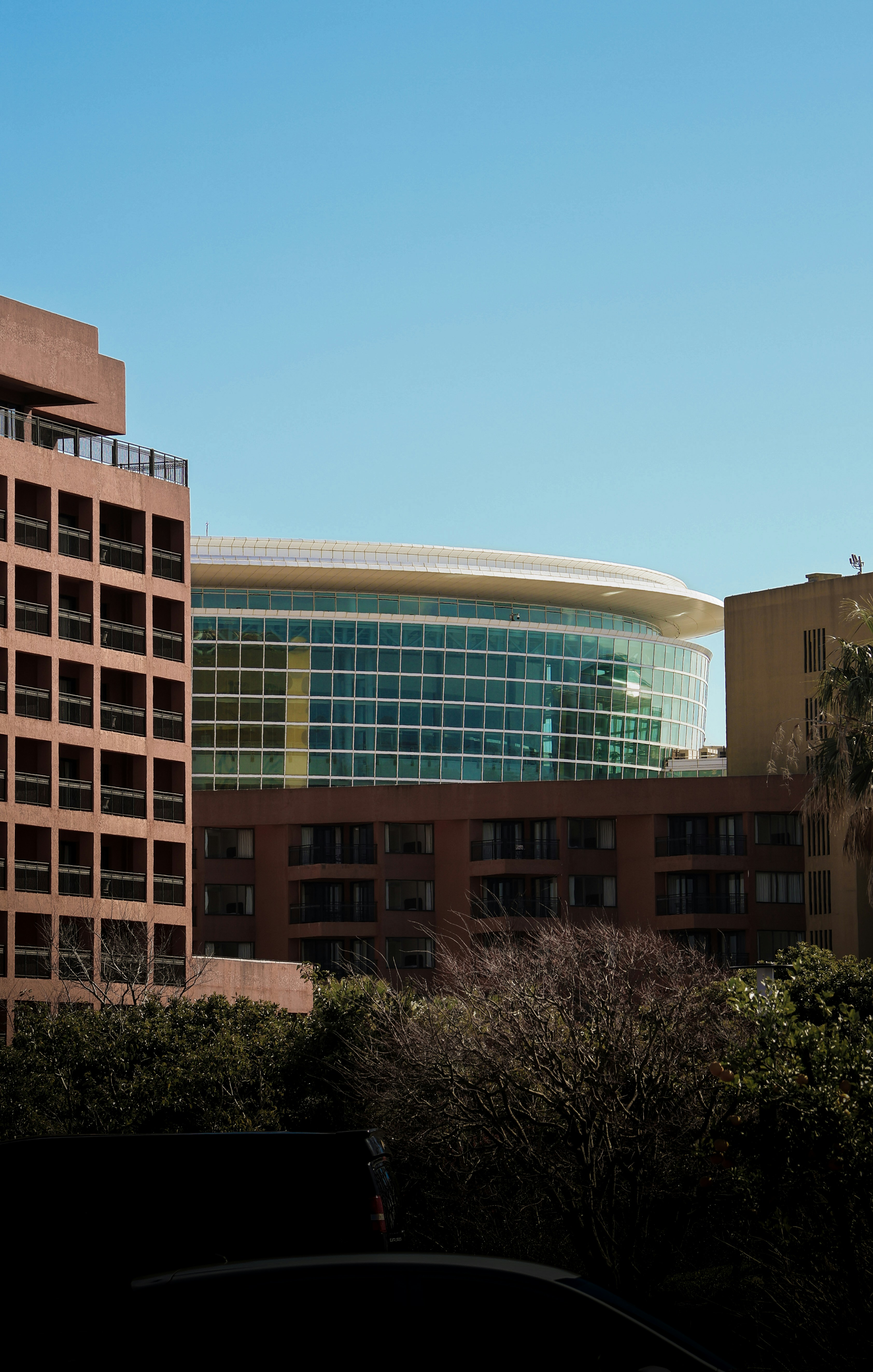 Photo by horseratbros