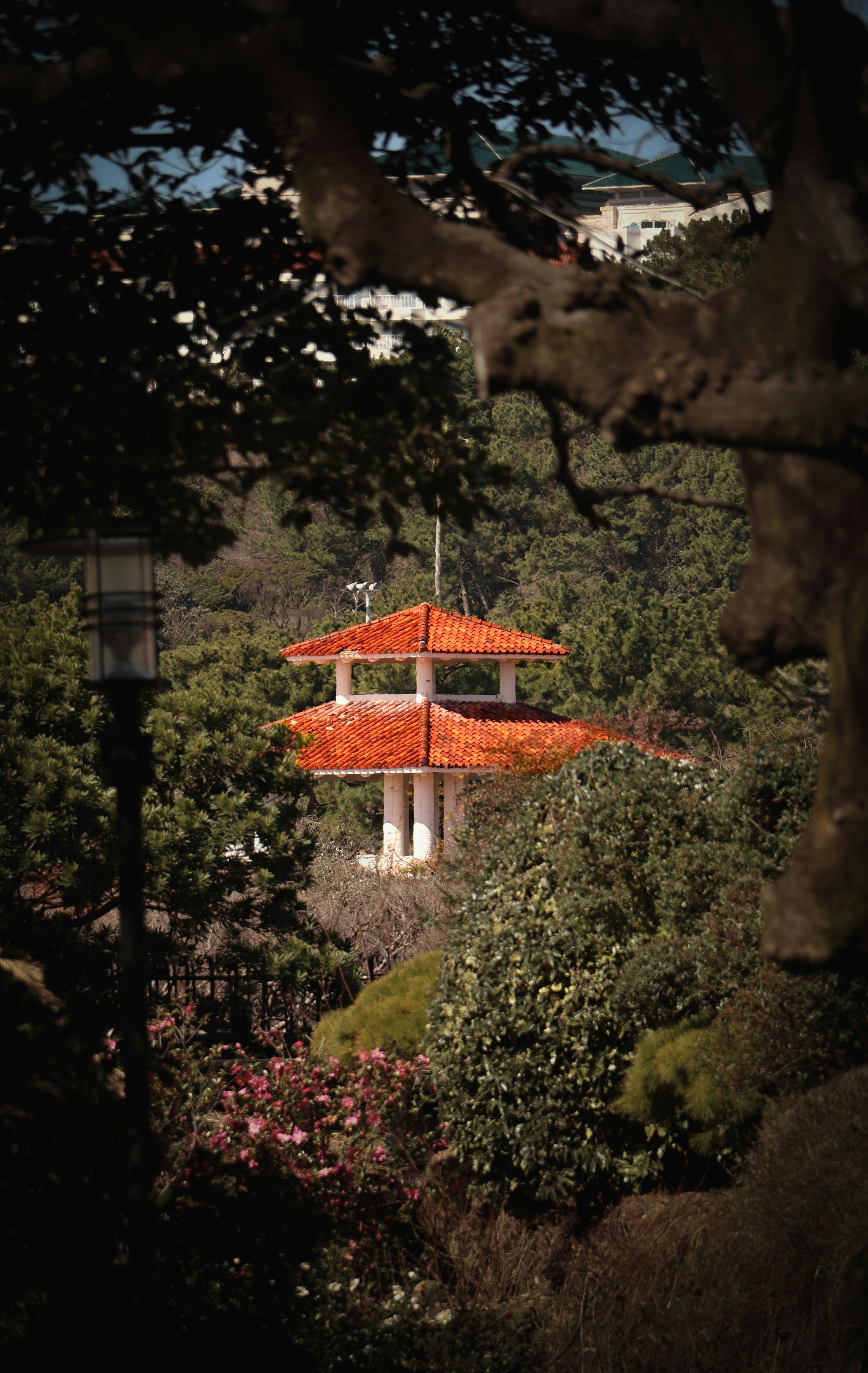 Mandarin Palace Santa Barbara Menu