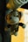 a stuffed monkey hanging from a light fixture