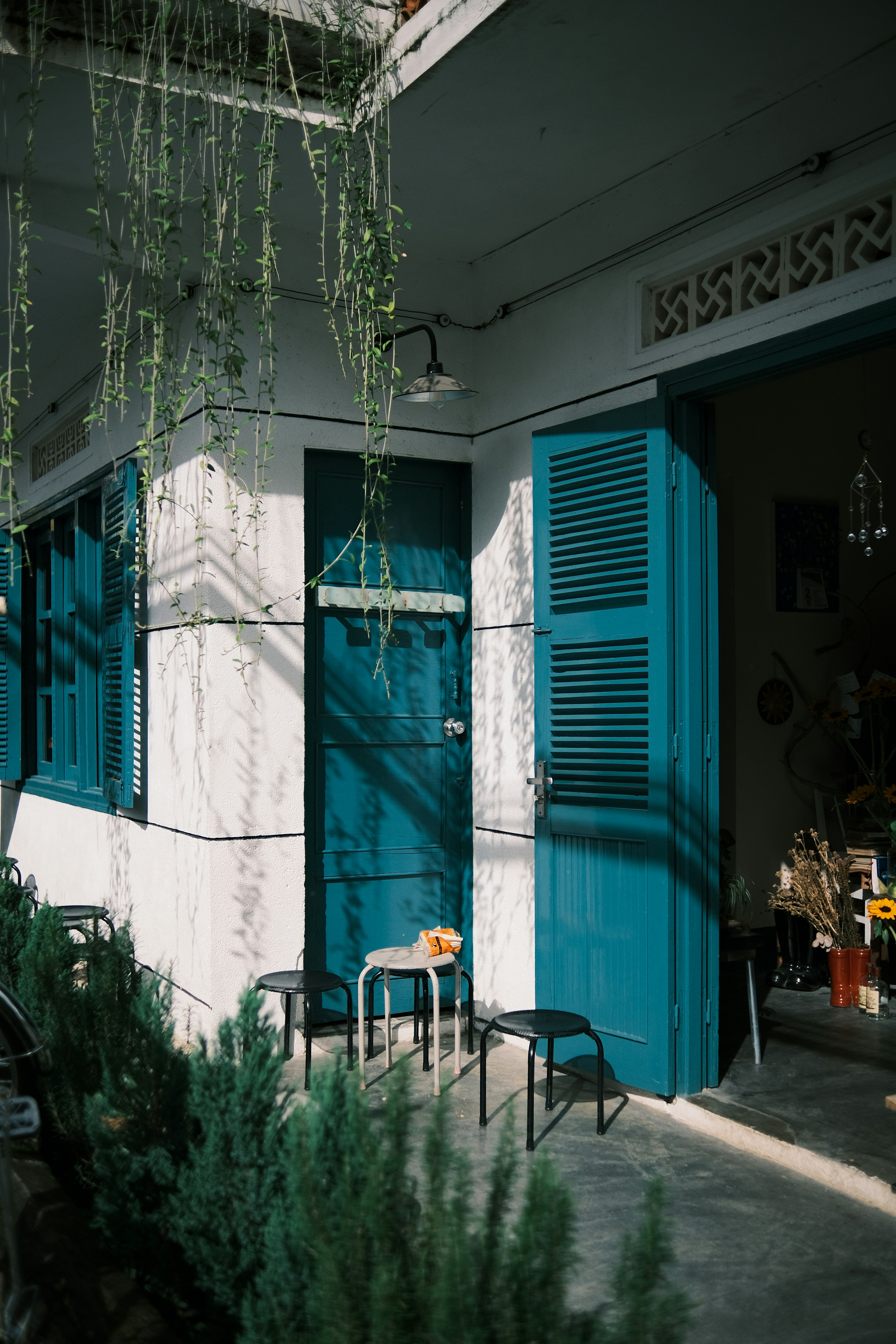 Photo by truogdieu29