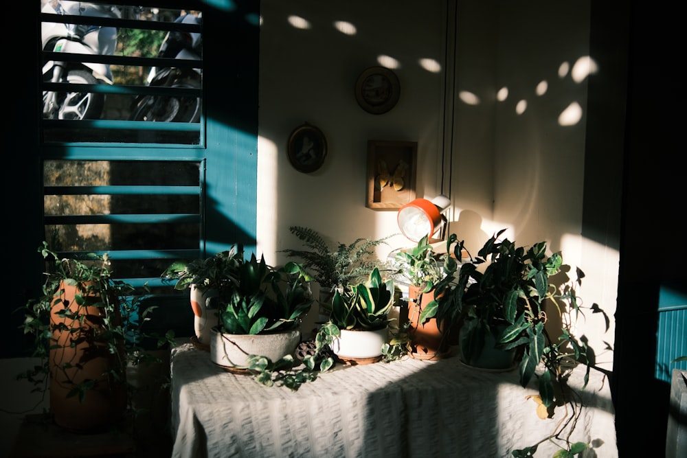 a living room with a table covered in plants