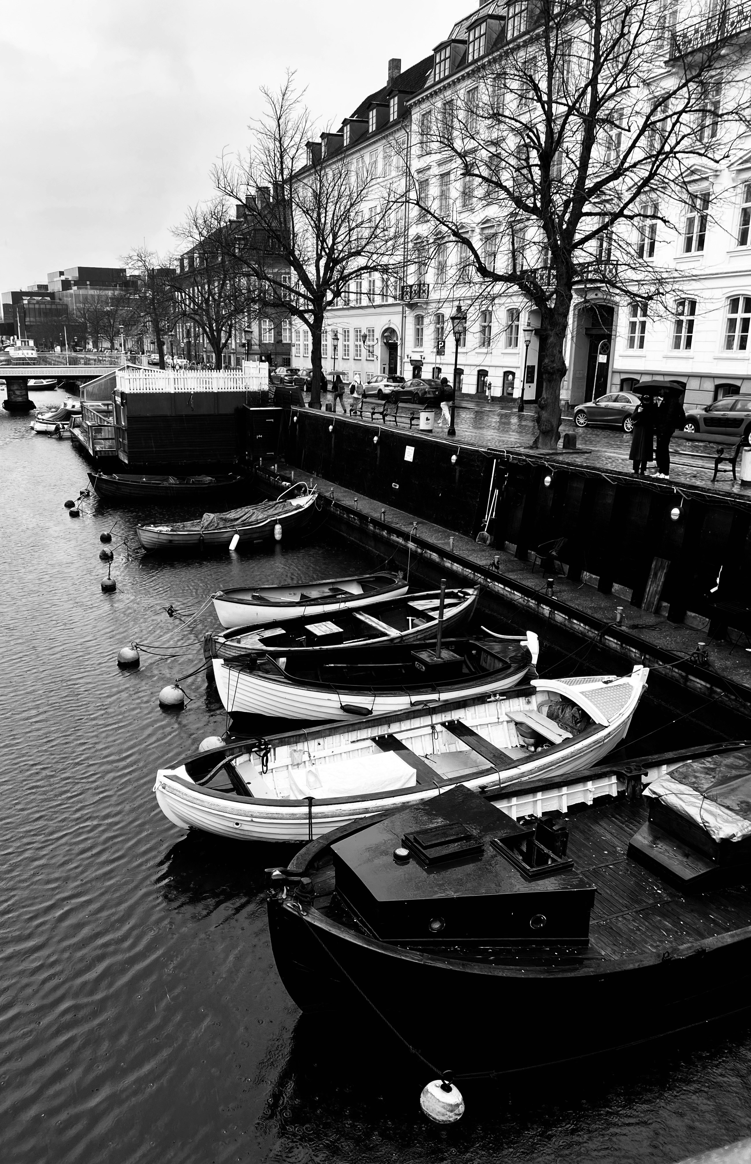 Photo by lachlancormie