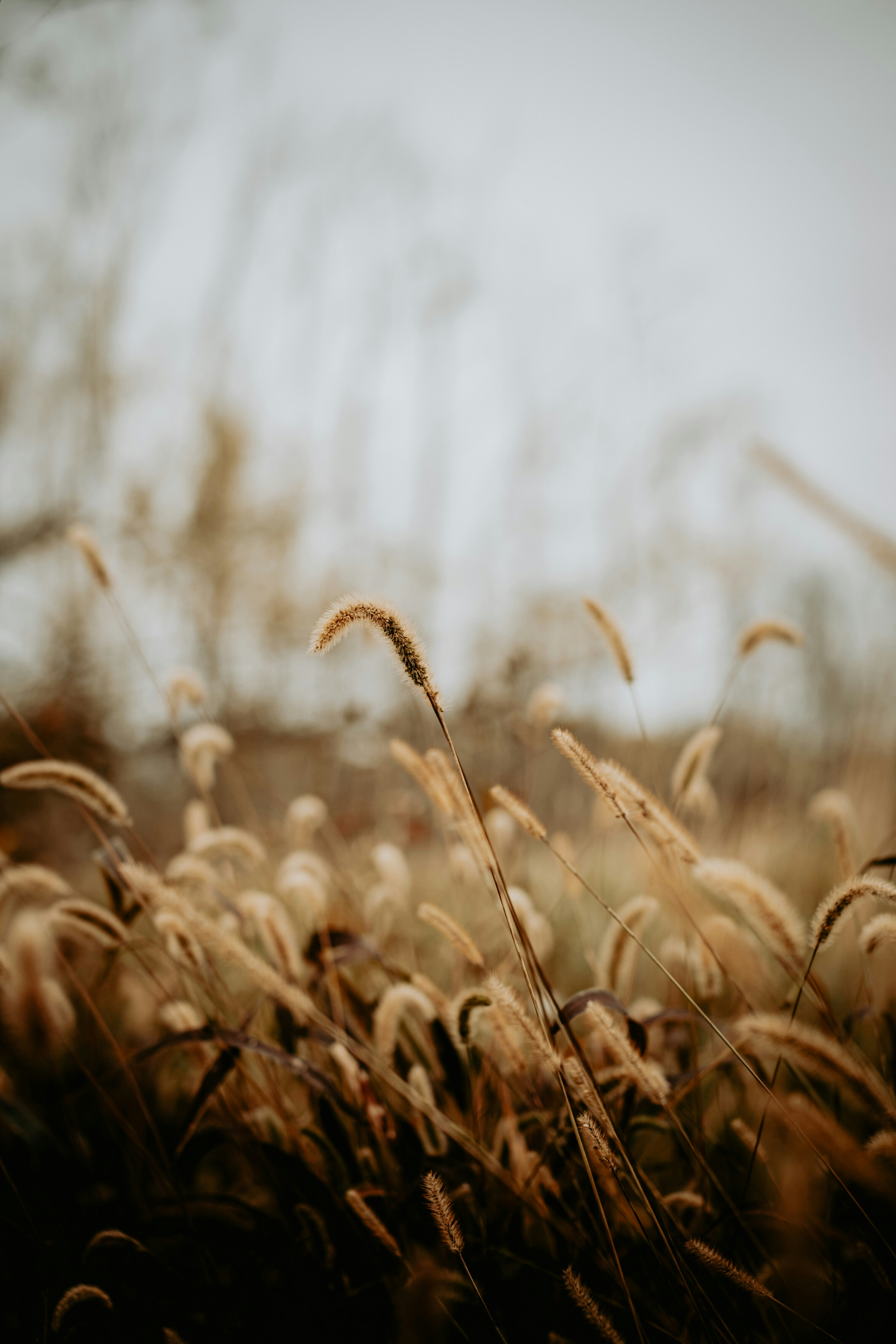 Photo by ilhamrahmat