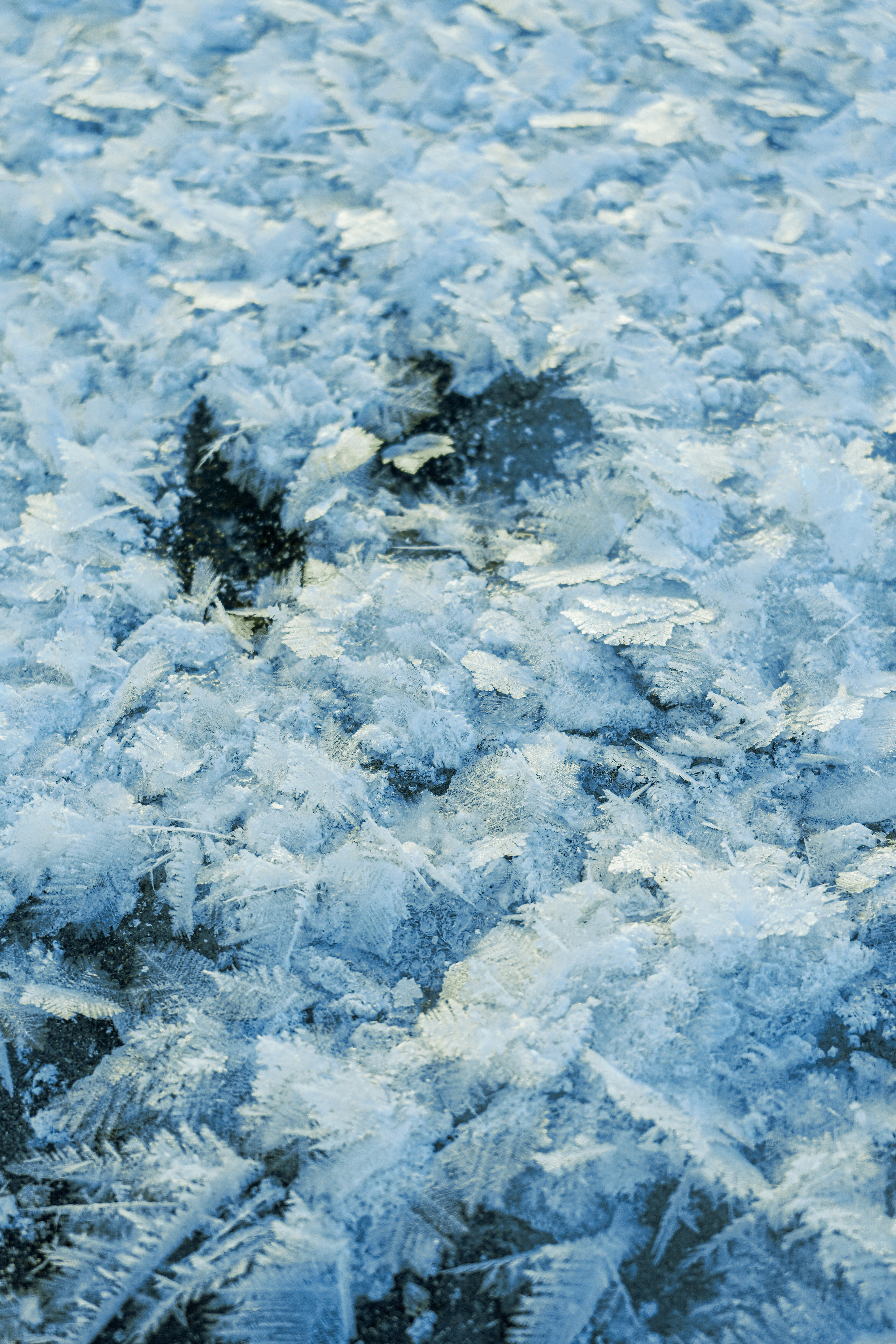 Imágenes de Cristal De Hielo | Descarga imágenes gratuitas en Unsplash, image size:3000x4500