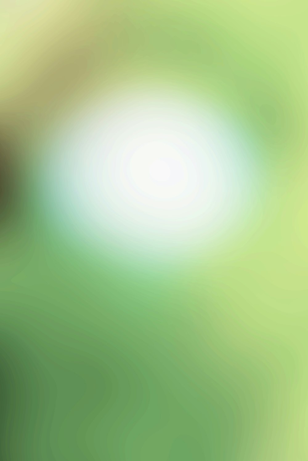 a blurry image of a green and yellow background