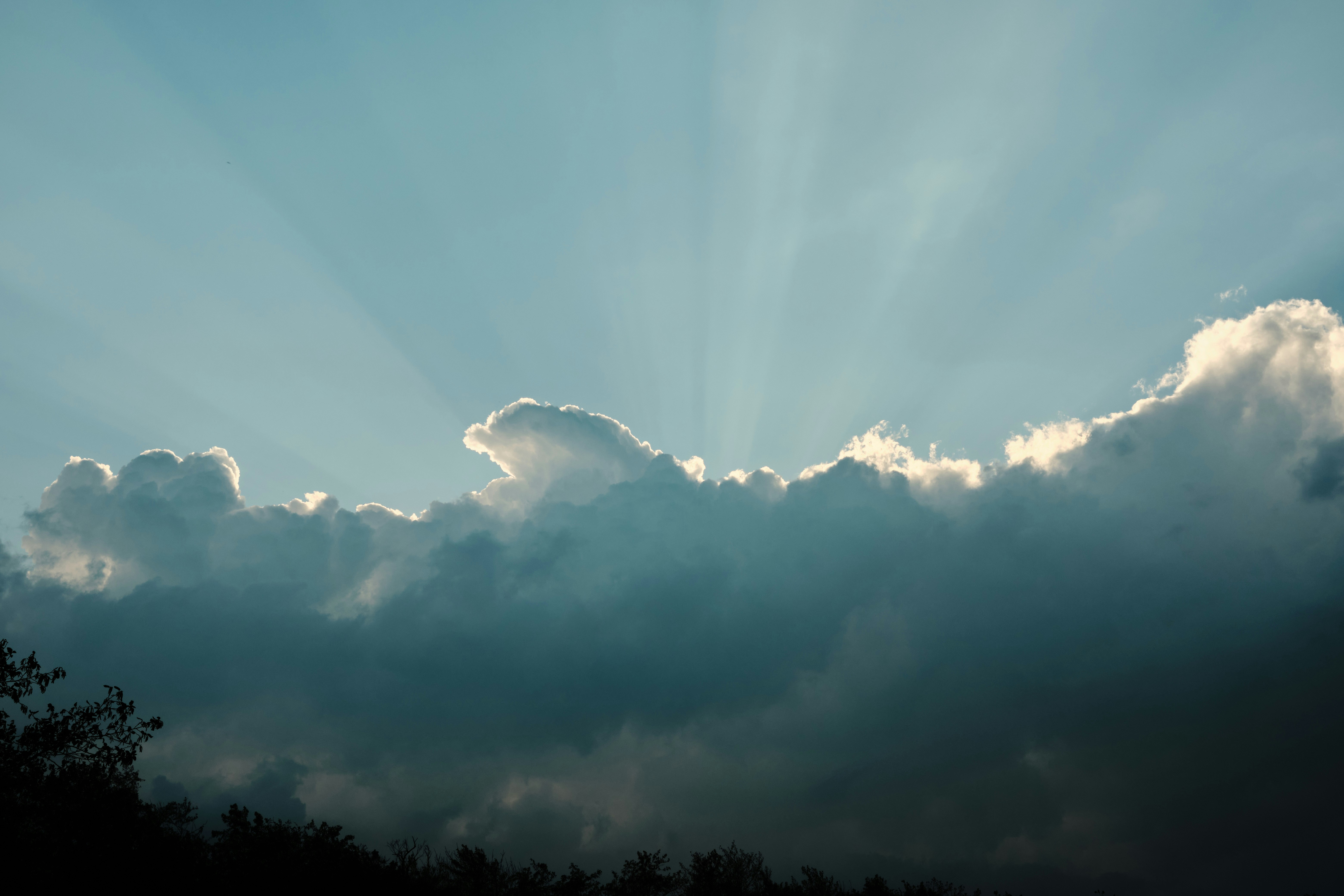 Photo by alirezabanijani