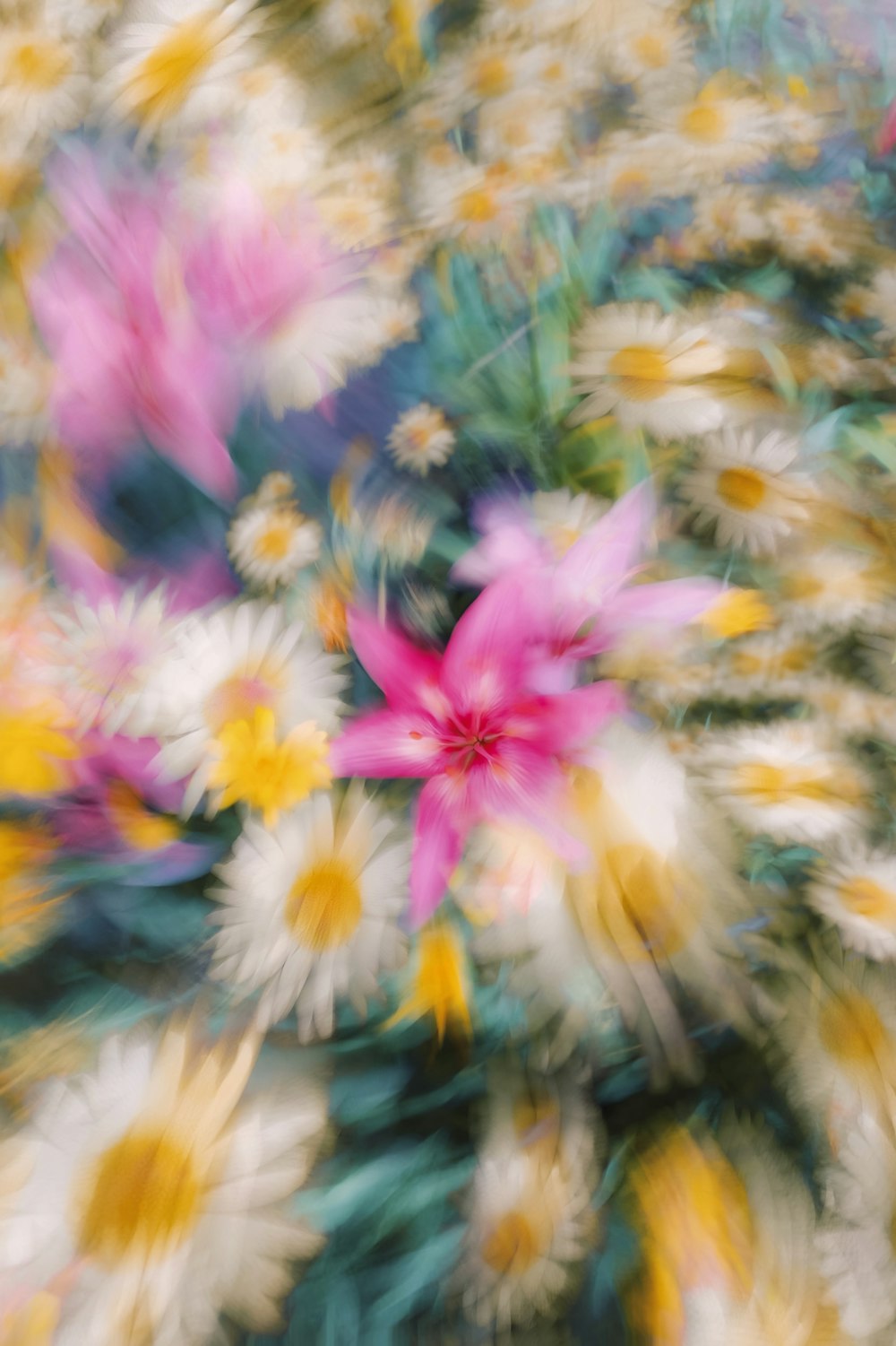 a blurry photo of a bunch of flowers