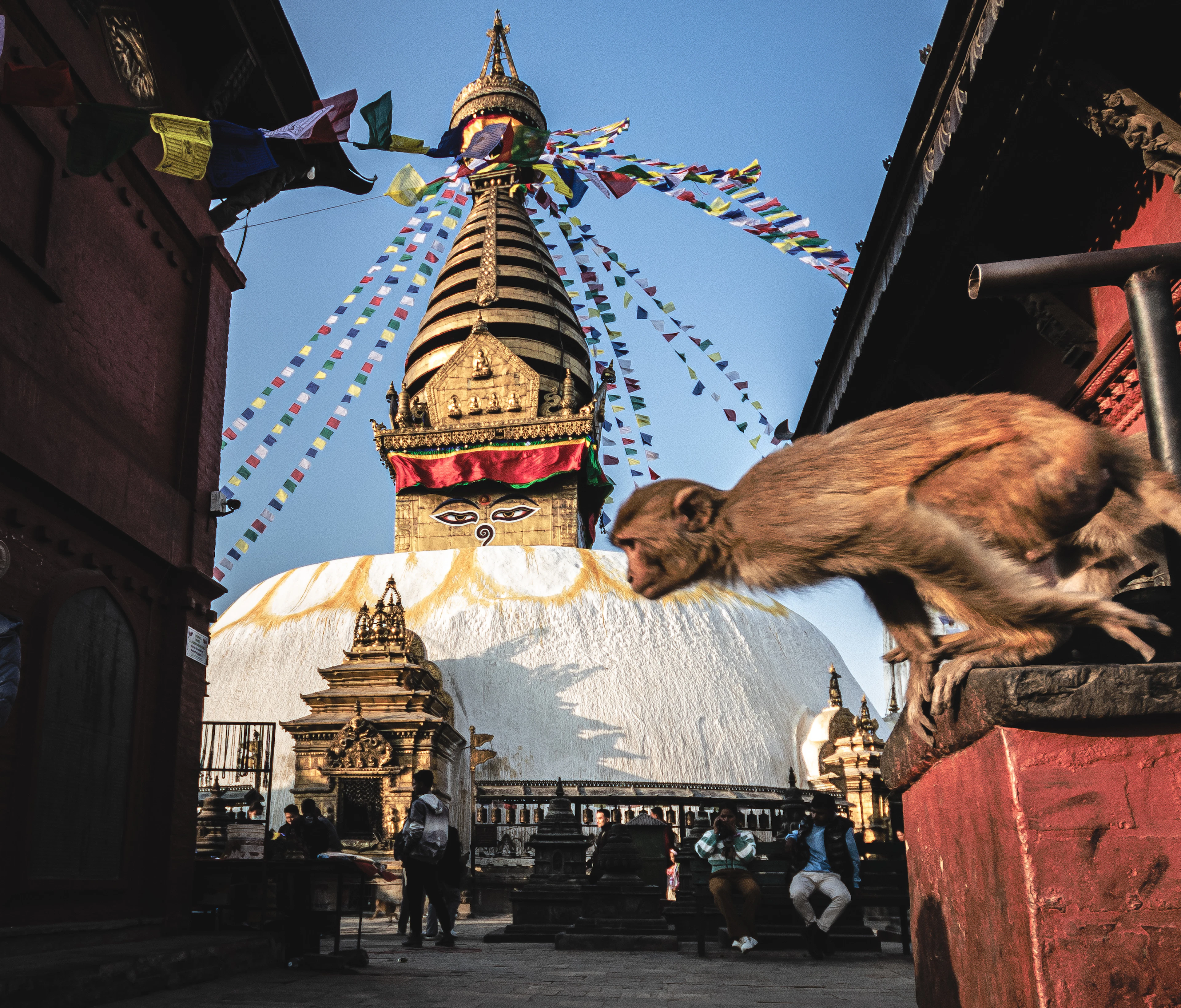 A monkey leaps past a ledge with Swayambhunath Stupa's golden spire and prayer flags glowing at sunset.