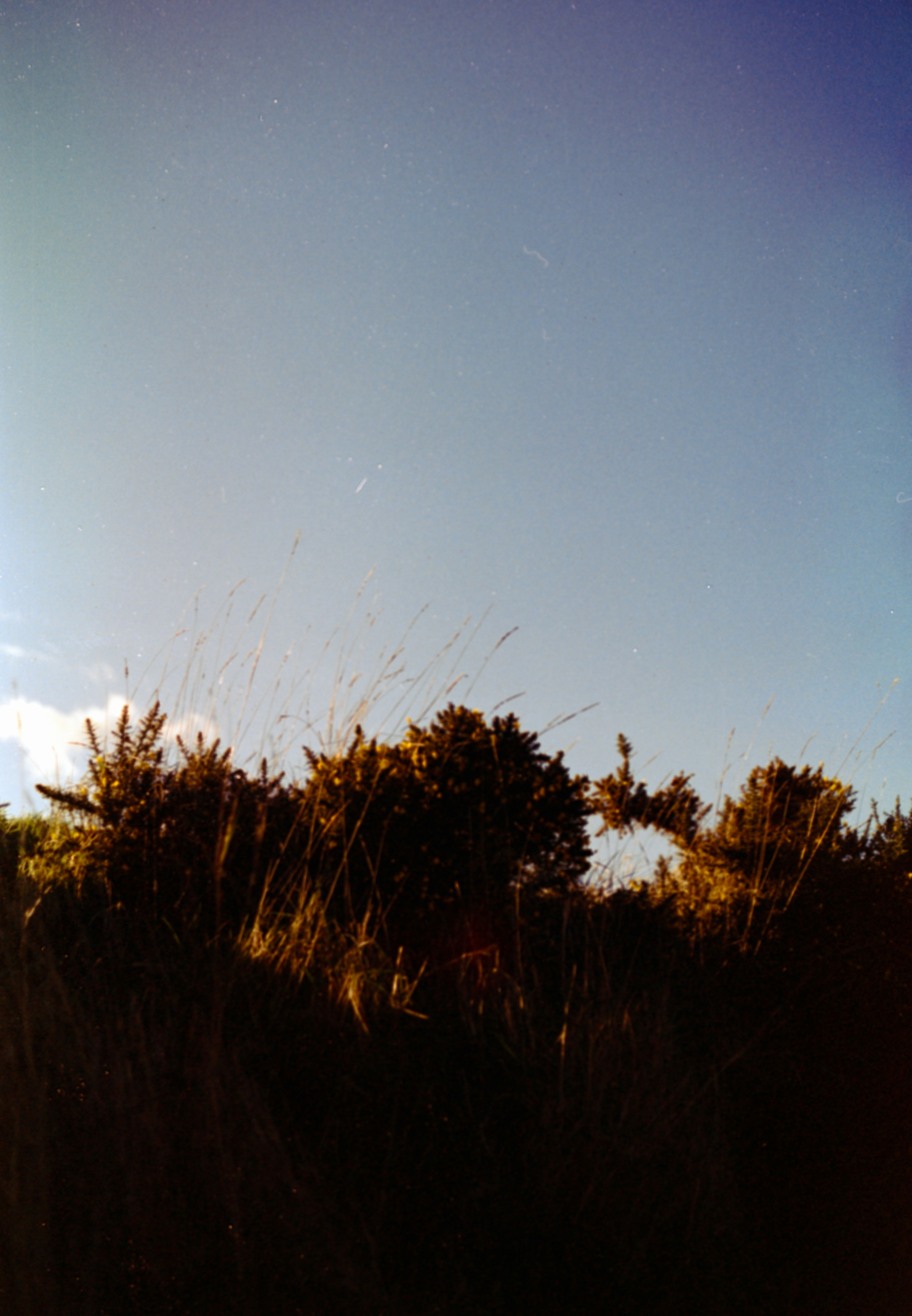 Photo by anniespratt