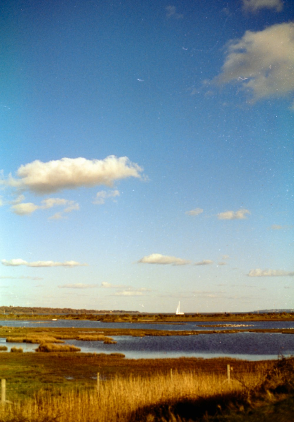 a large body of water sitting next to a lush green field