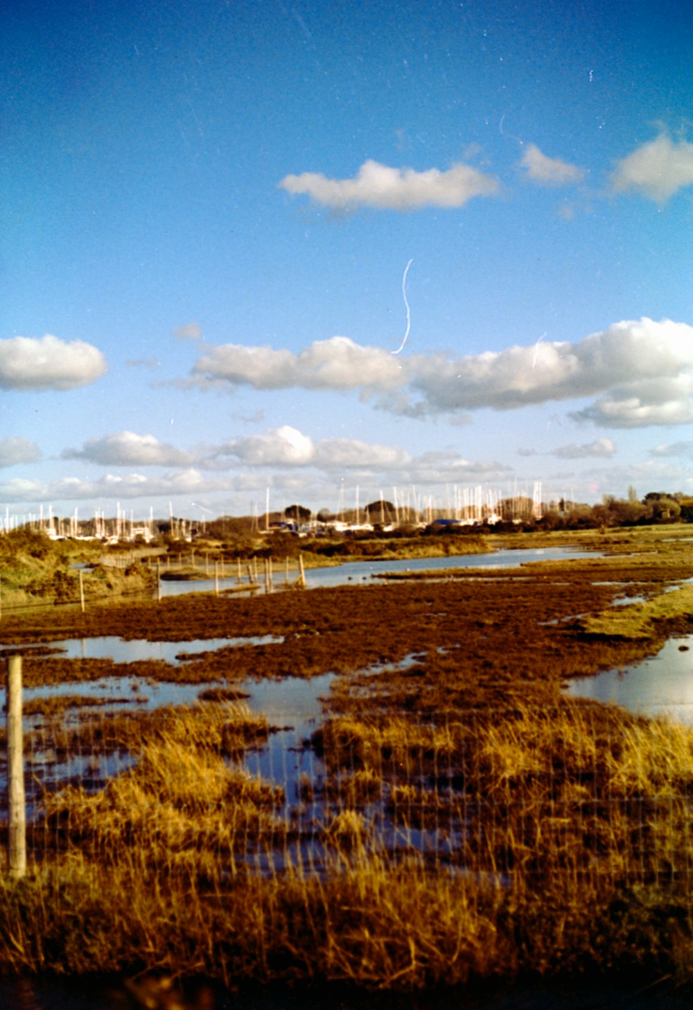 a grassy field with a fence and a body of water