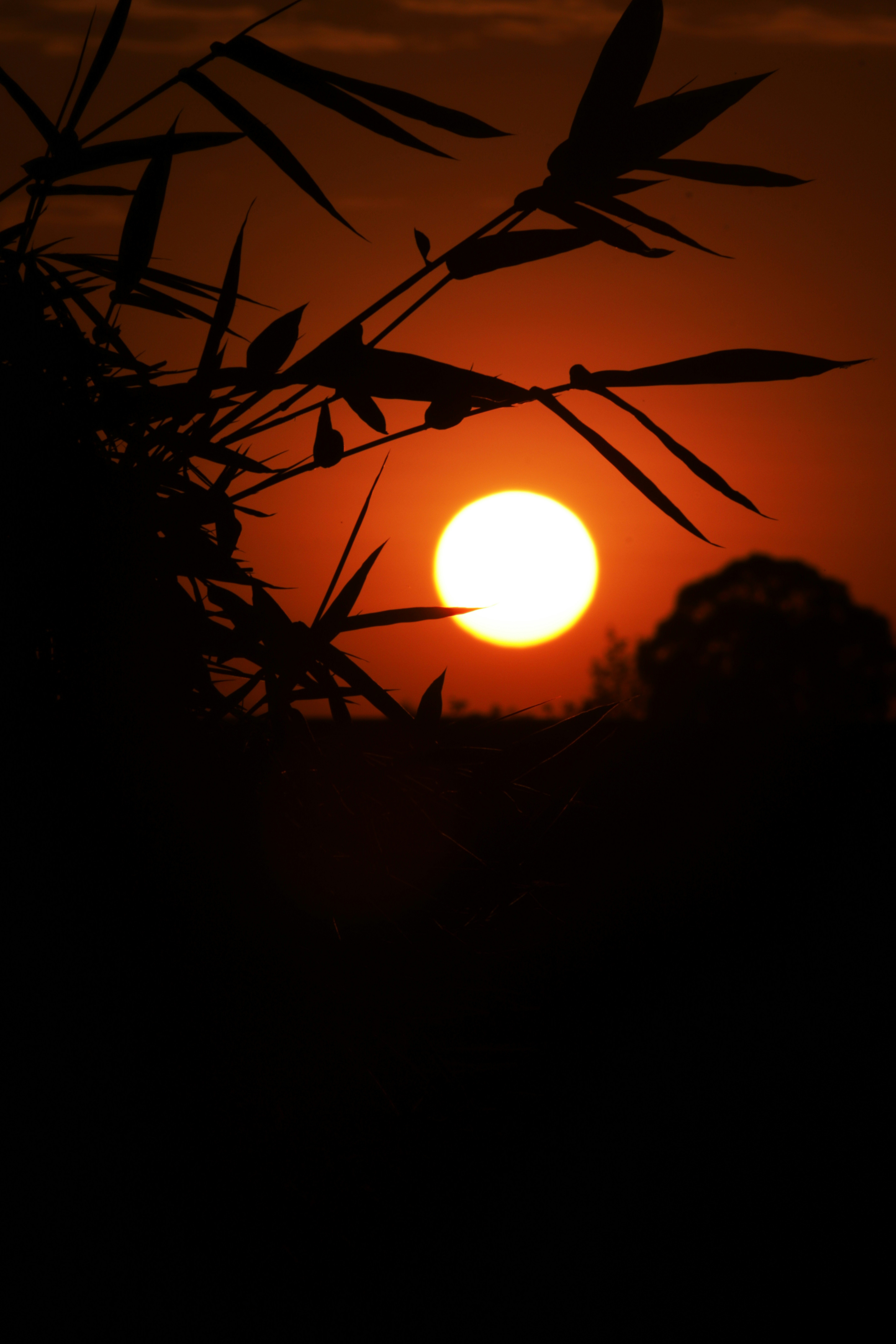 Photo by stevecameup