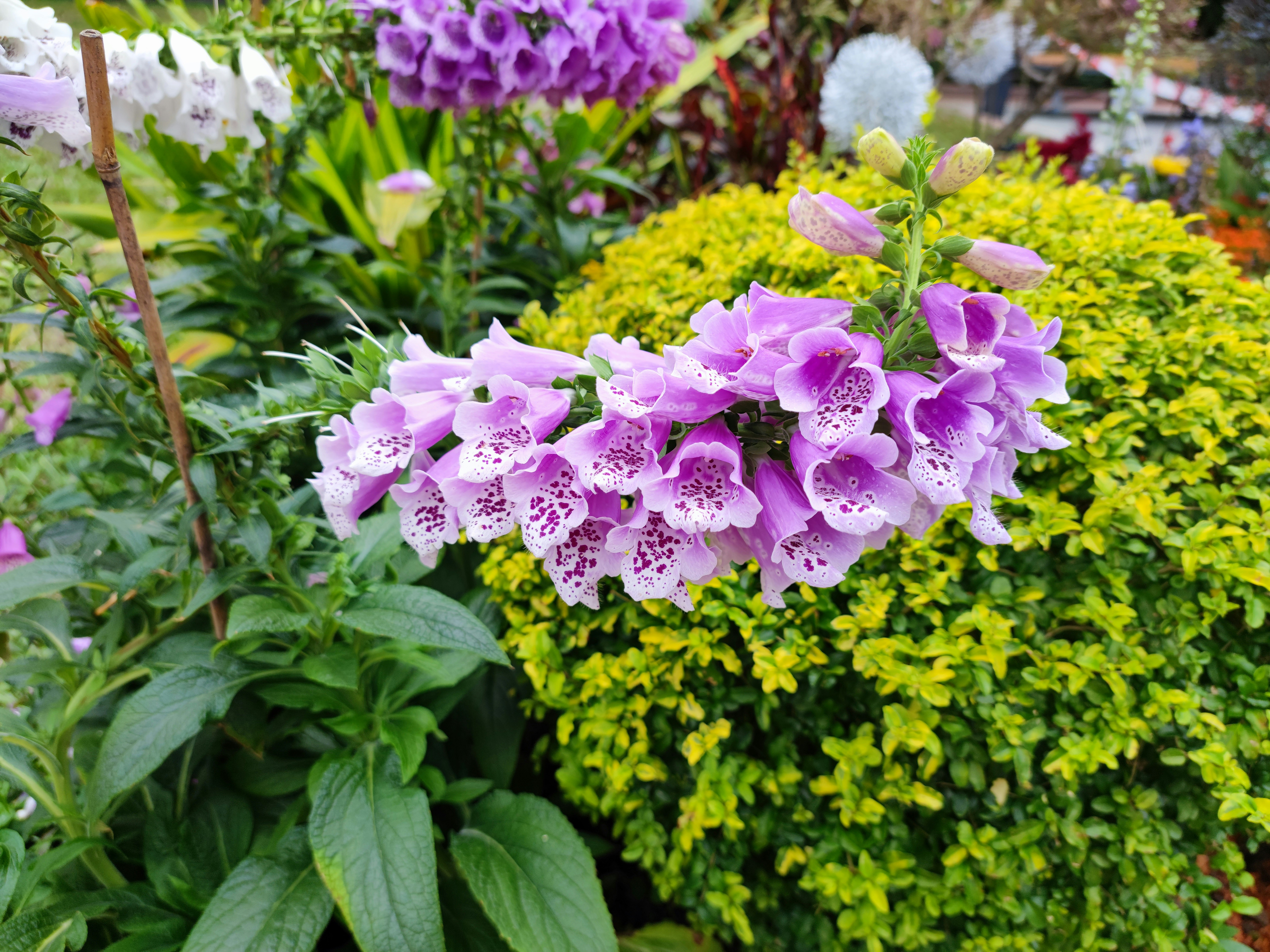 動漫界最大黑幕曝光！這真相讓你三觀盡毀！