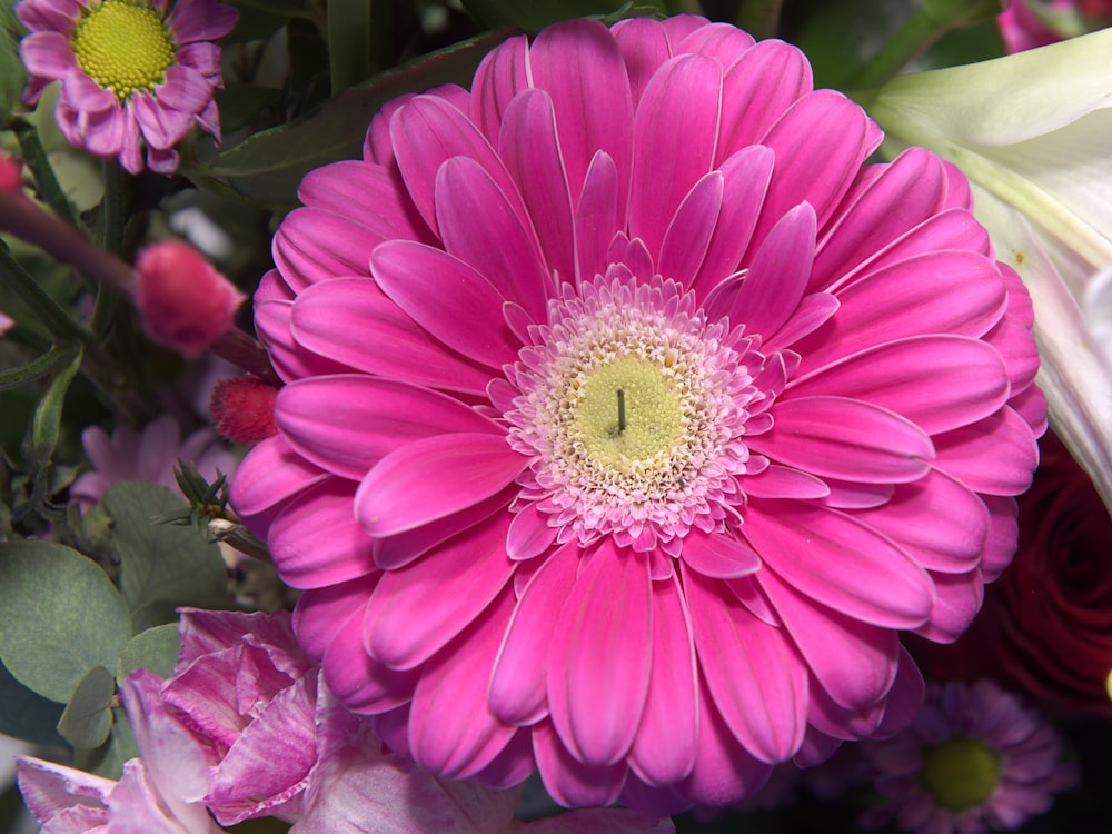 a close up of a pink flower surrounded by other flowers