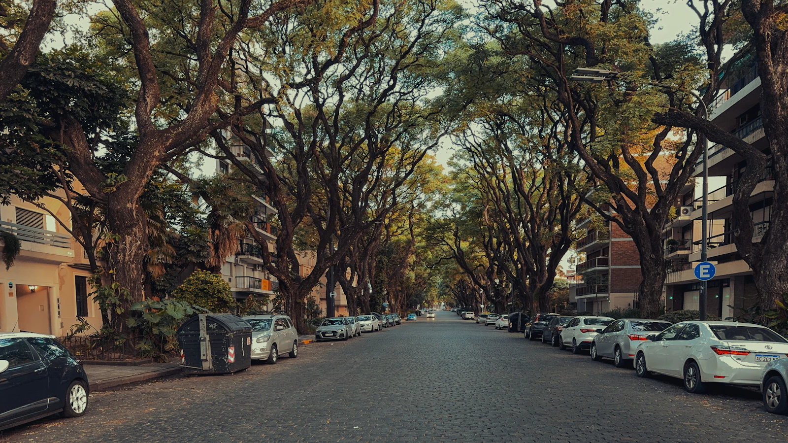 Calle arbolada de un barrio residencial de Buenos Aires, con edificios bajos y autos estacionados