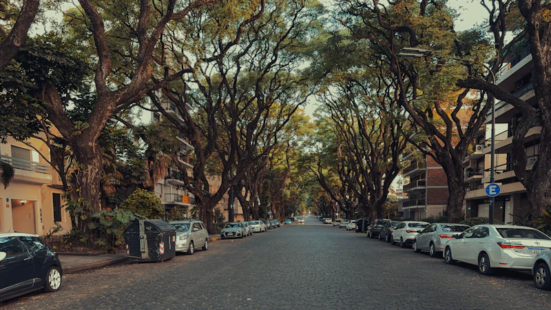 Calle arbolada de un barrio residencial de Buenos Aires, con edificios bajos y autos estacionados